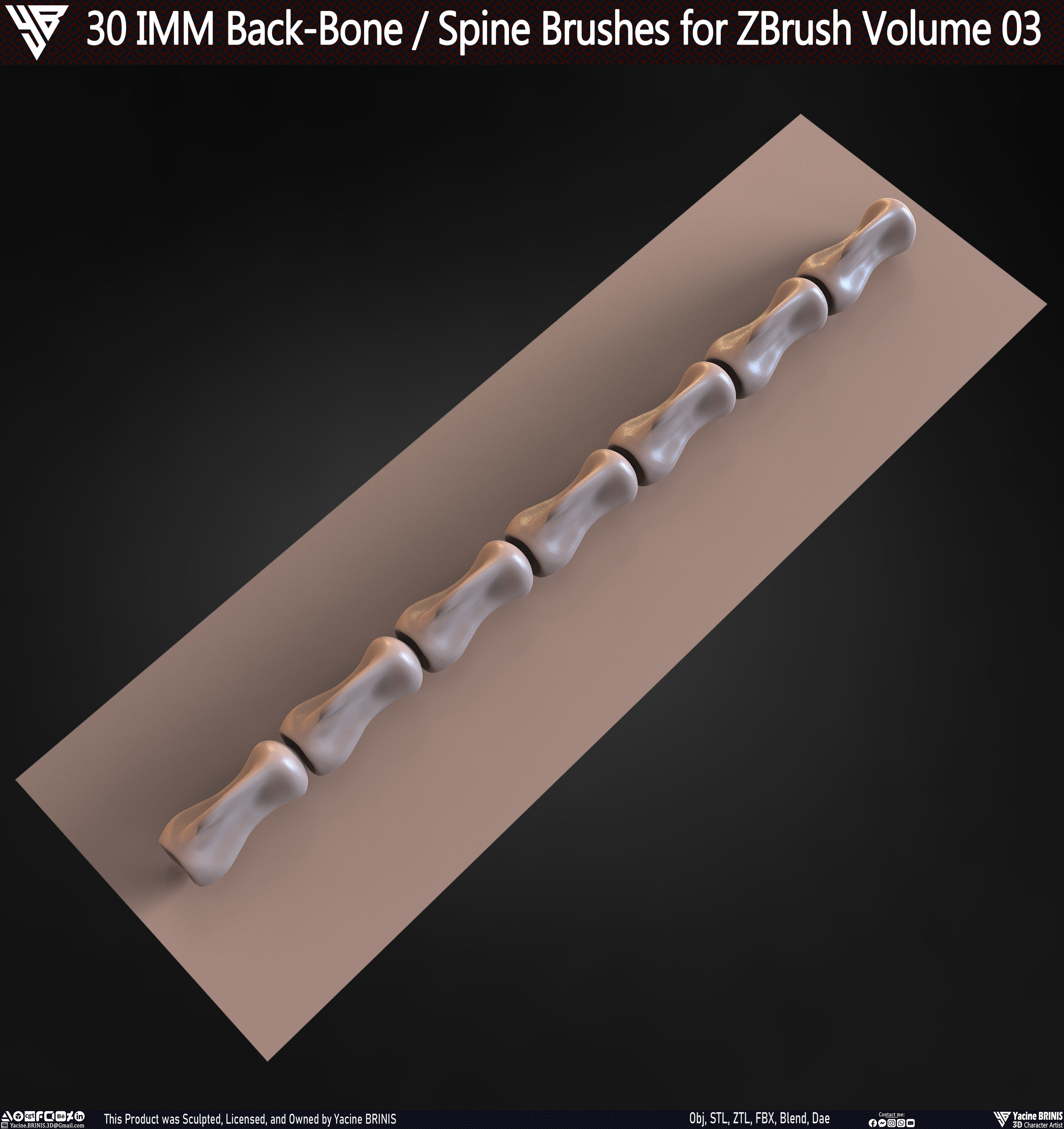 30 IMM Back-Bone - Spine ZBrush Brush Volume 03 Low-poly 3D model_68