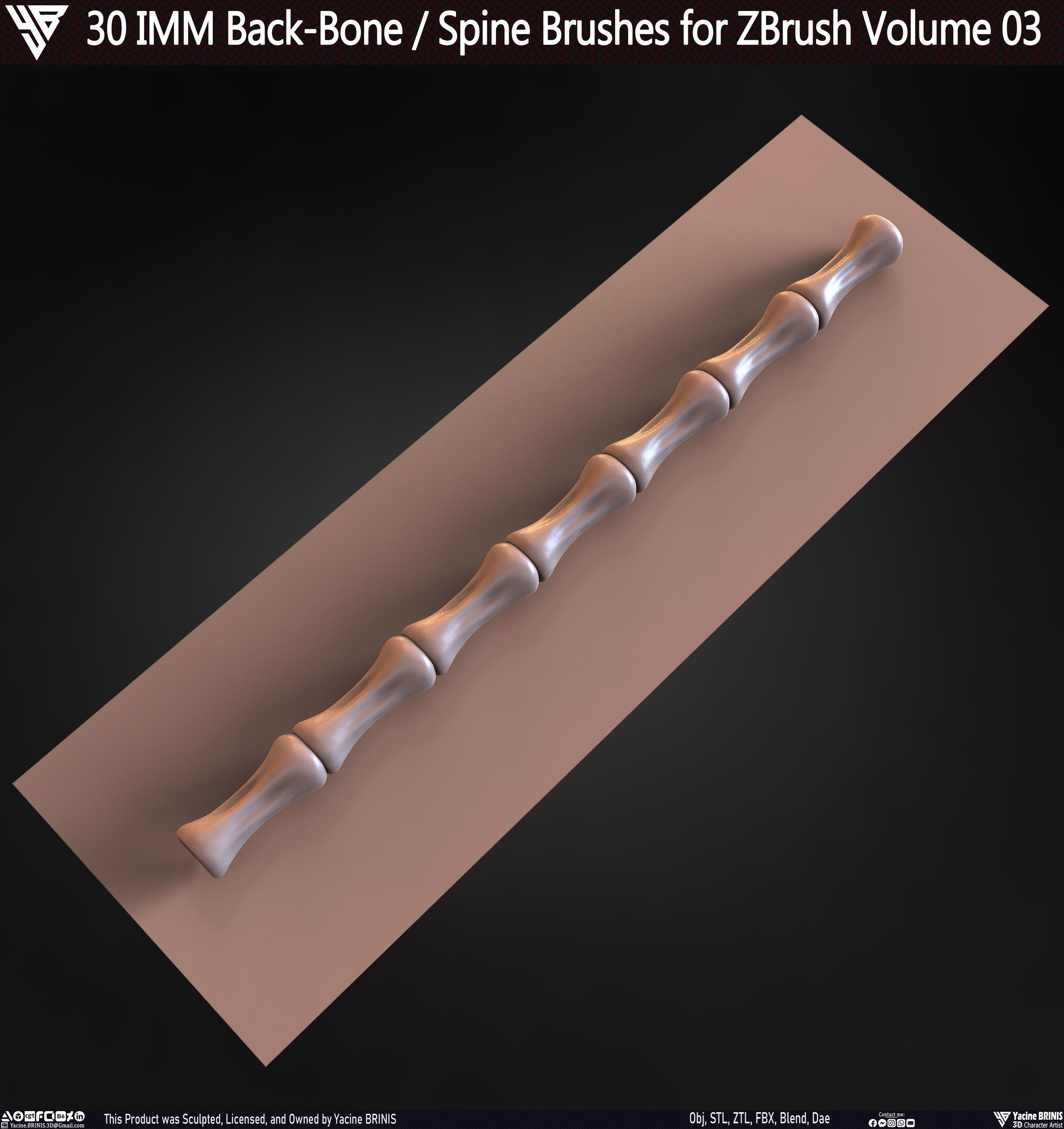 30 IMM Back-Bone - Spine ZBrush Brush Volume 03 Low-poly 3D model_67