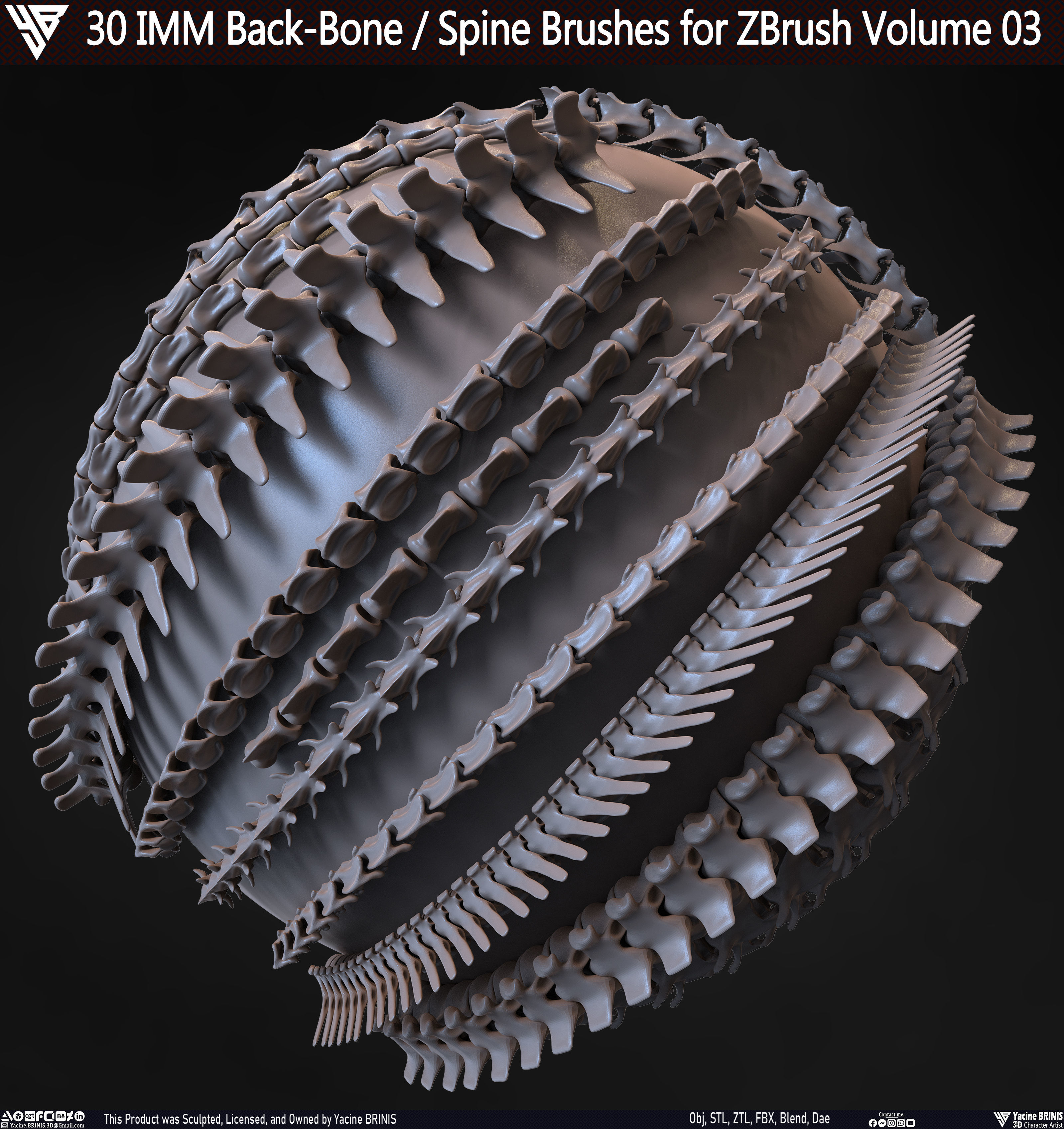 30 IMM Back-Bone - Spine ZBrush Brush Volume 03 Low-poly 3D model_2