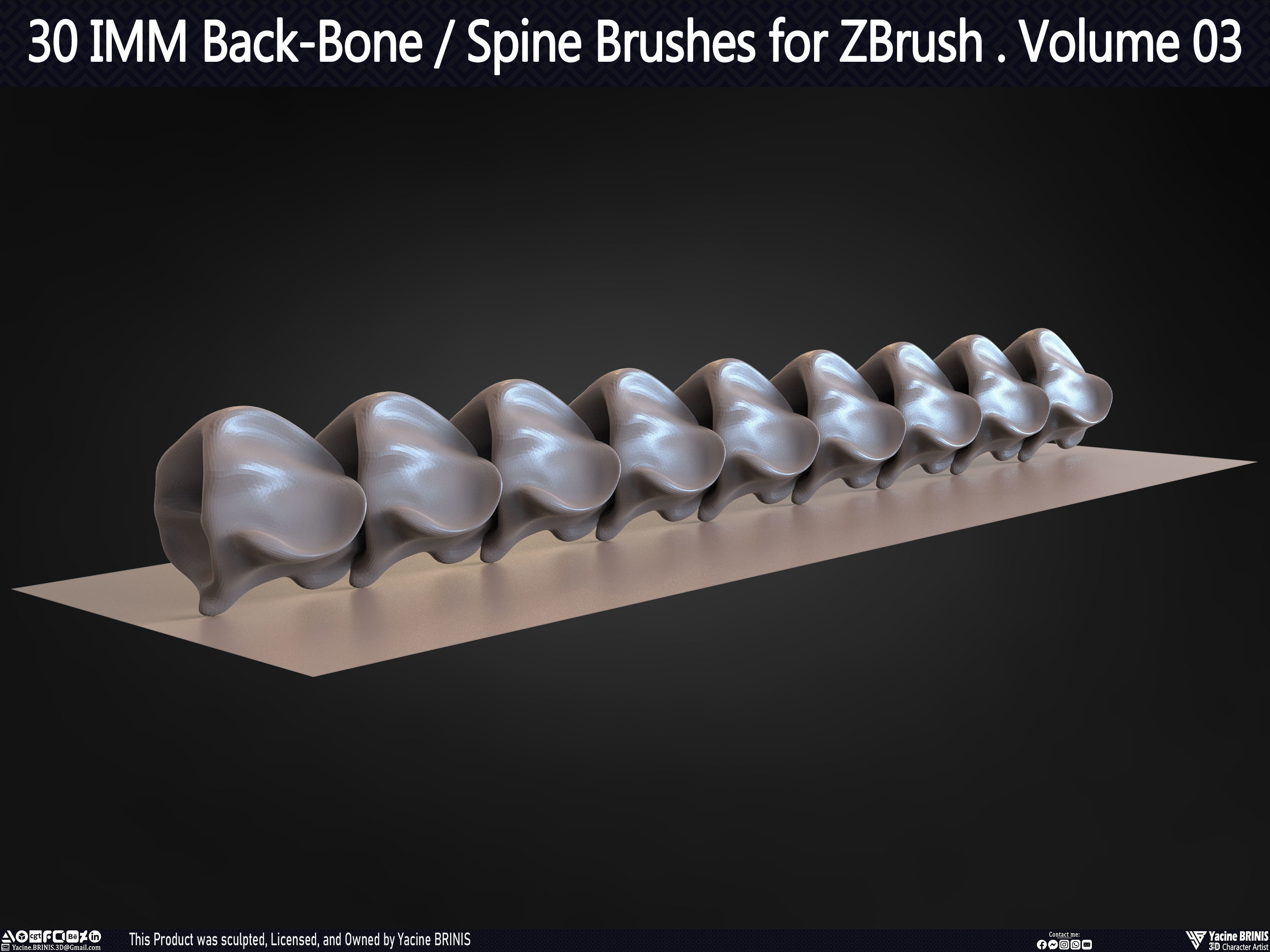 30 IMM Back-Bone - Spine ZBrush Brush Volume 03 Low-poly 3D model_36