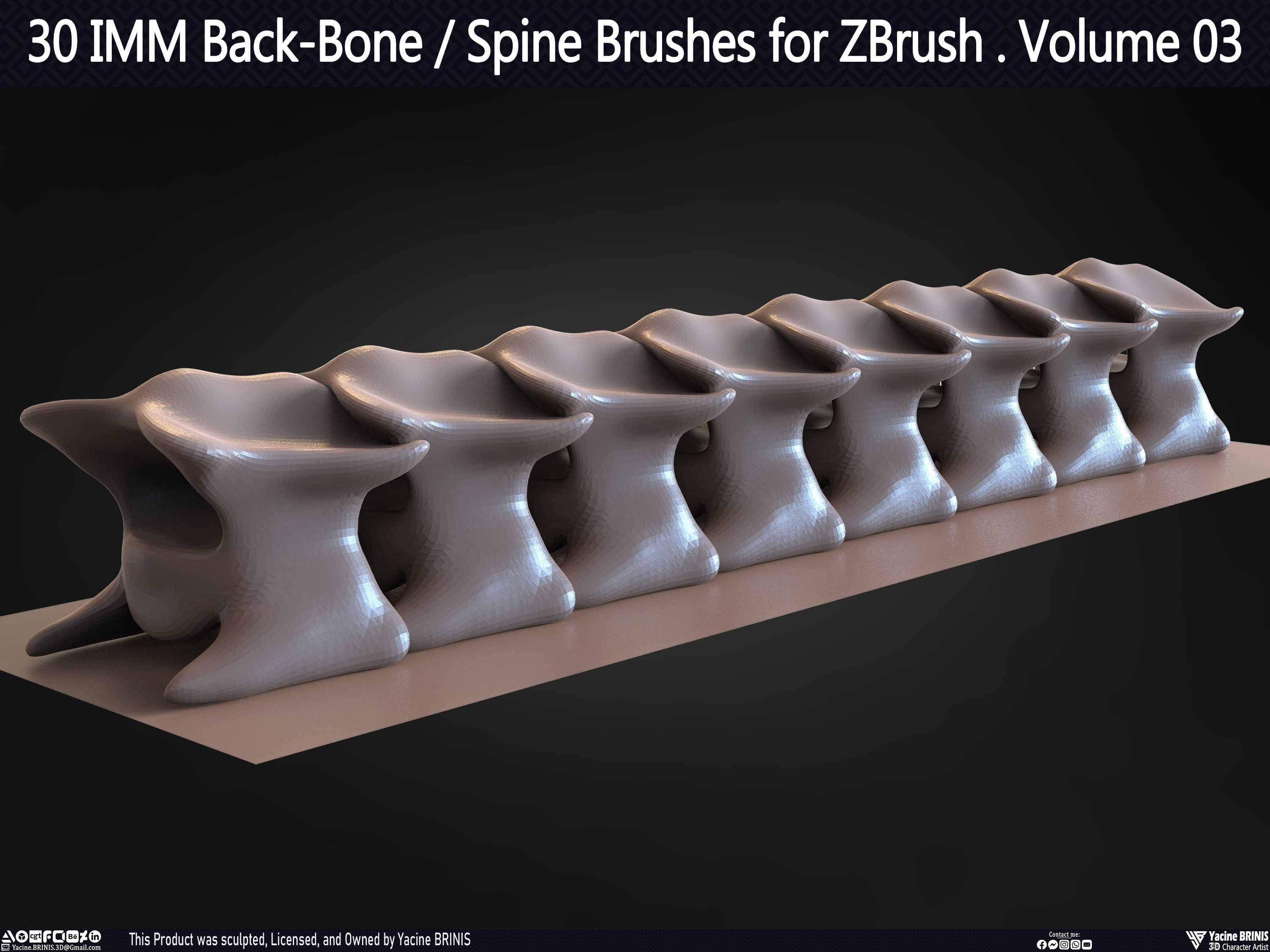 30 IMM Back-Bone - Spine ZBrush Brush Volume 03 Low-poly 3D model_57