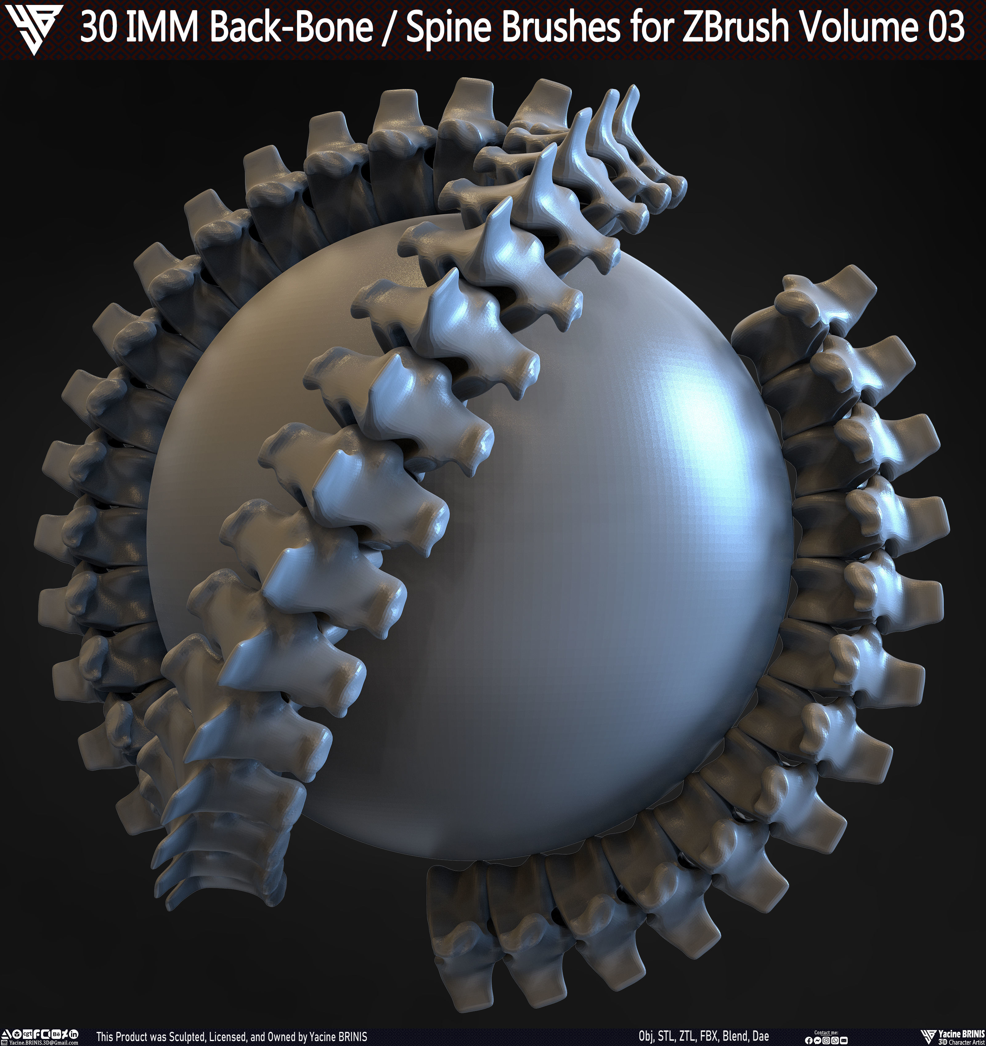 30 IMM Back-Bone - Spine ZBrush Brush Volume 03 Low-poly 3D model_8