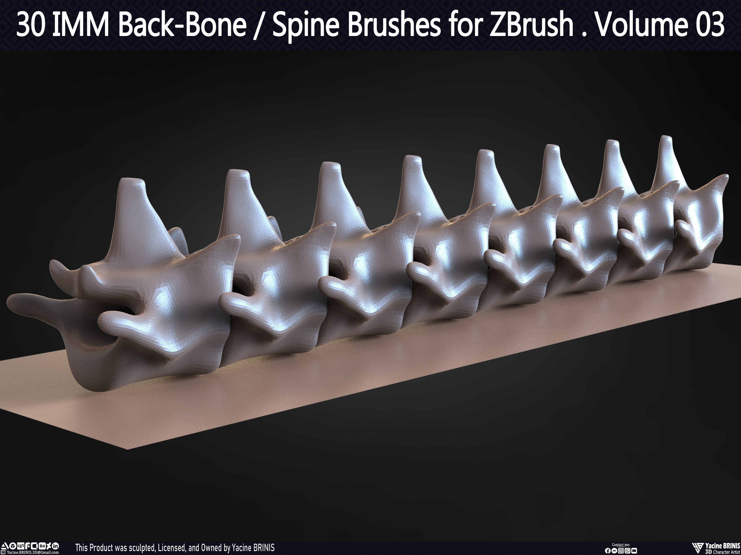 30 IMM Back-Bone - Spine ZBrush Brush Volume 03 Low-poly 3D model_50