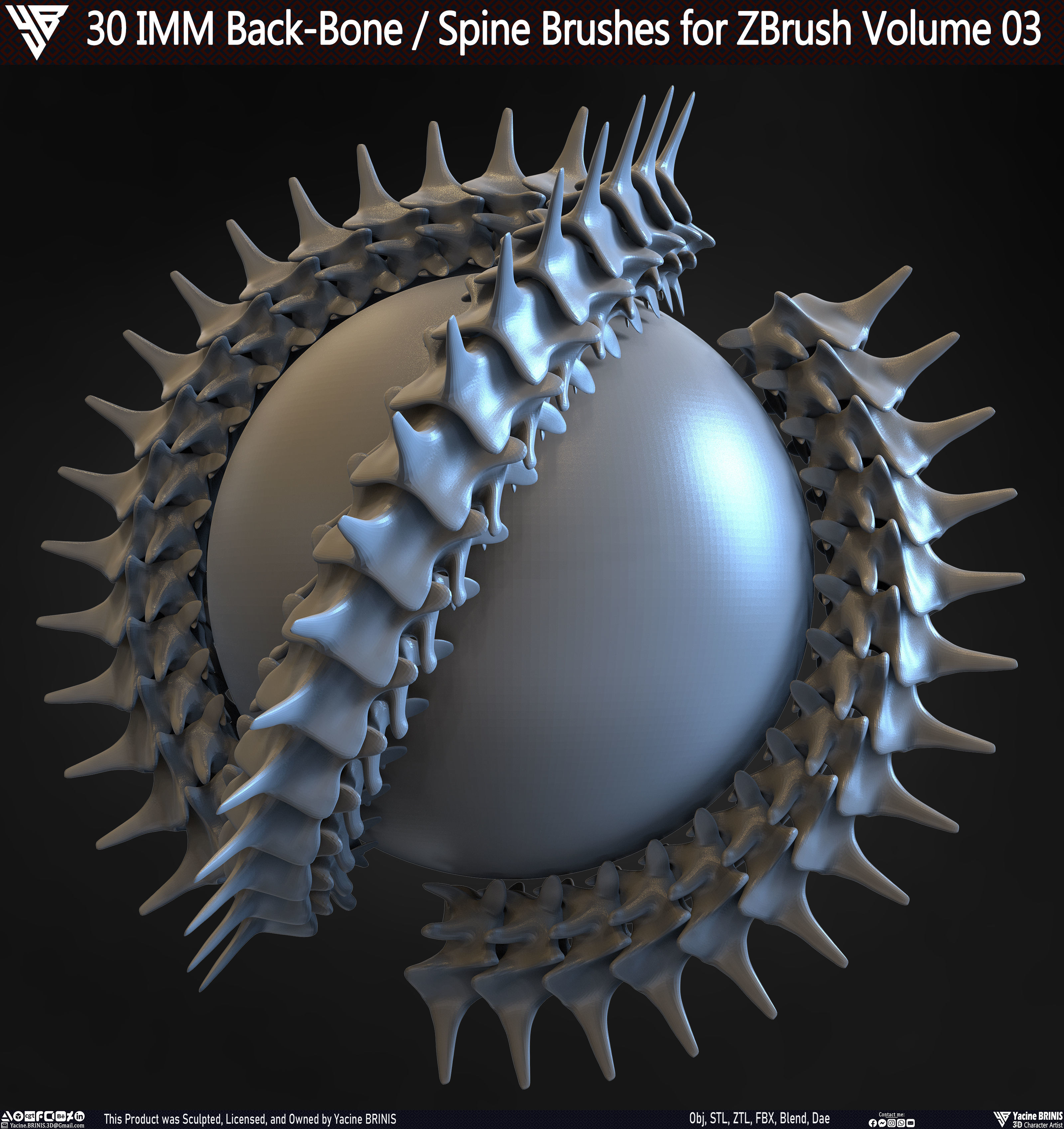 30 IMM Back-Bone - Spine ZBrush Brush Volume 03 Low-poly 3D model_25