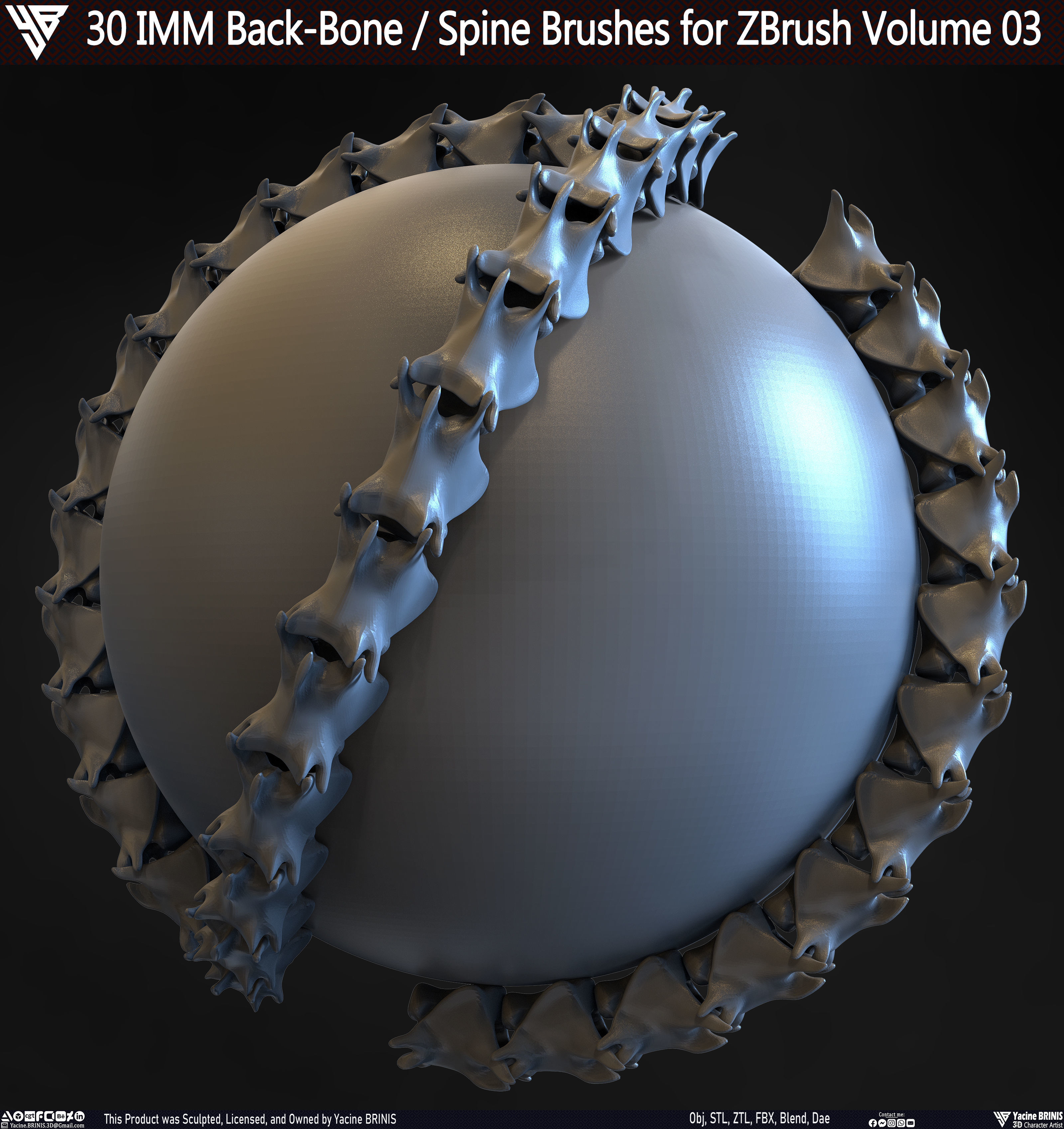 30 IMM Back-Bone - Spine ZBrush Brush Volume 03 Low-poly 3D model_19