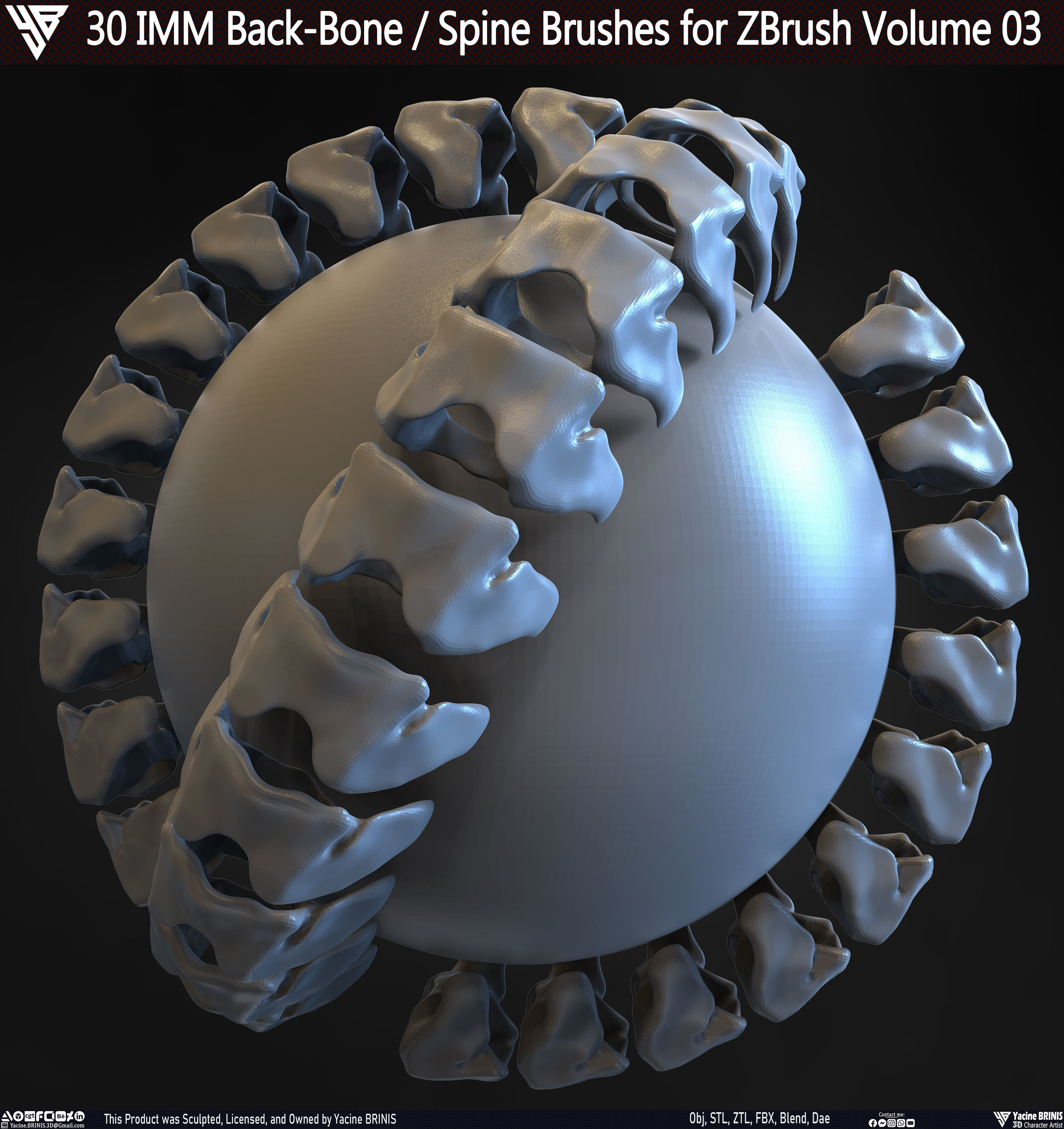 30 IMM Back-Bone - Spine ZBrush Brush Volume 03 Low-poly 3D model_29