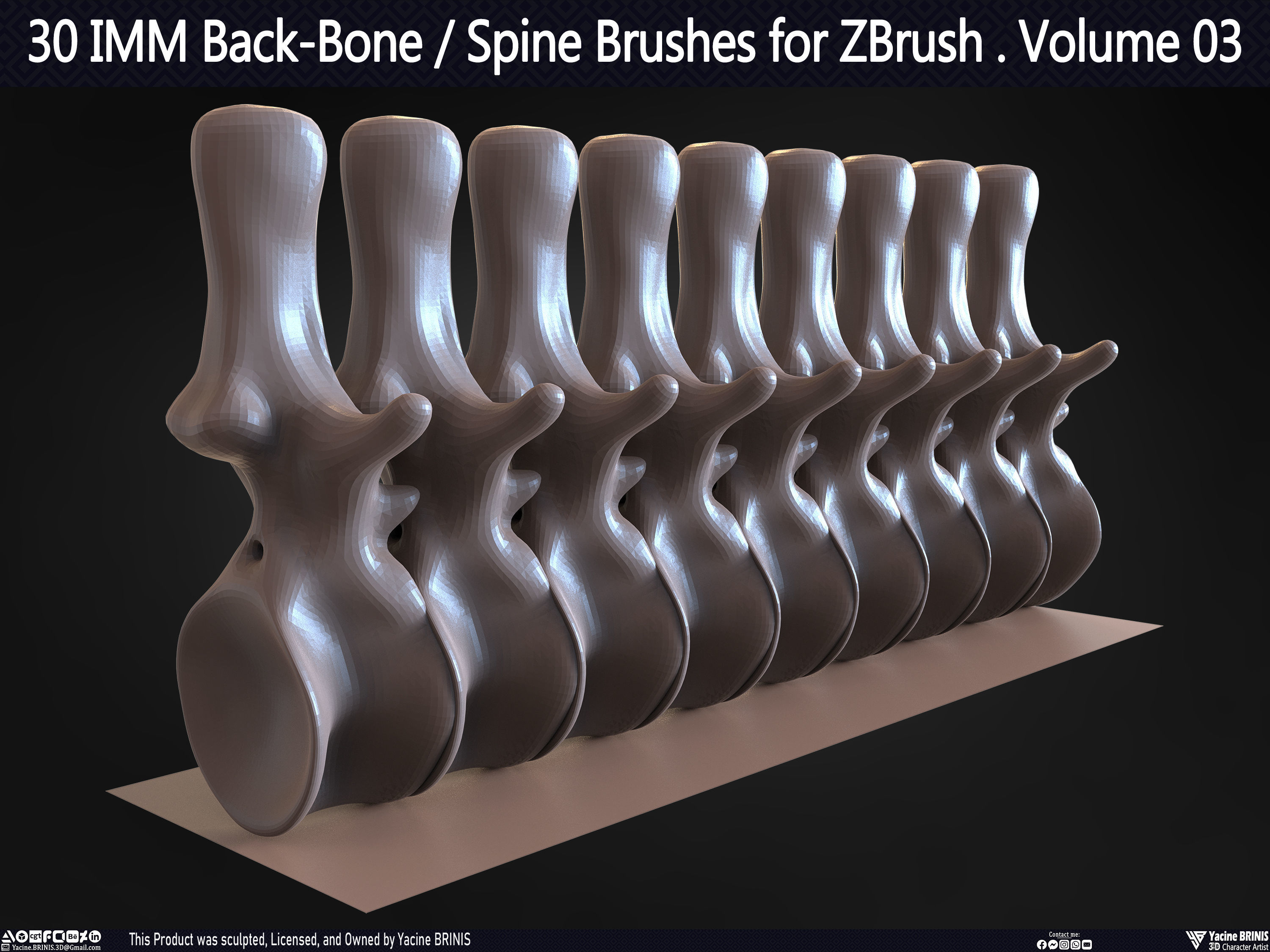 30 IMM Back-Bone - Spine ZBrush Brush Volume 03 Low-poly 3D model_63