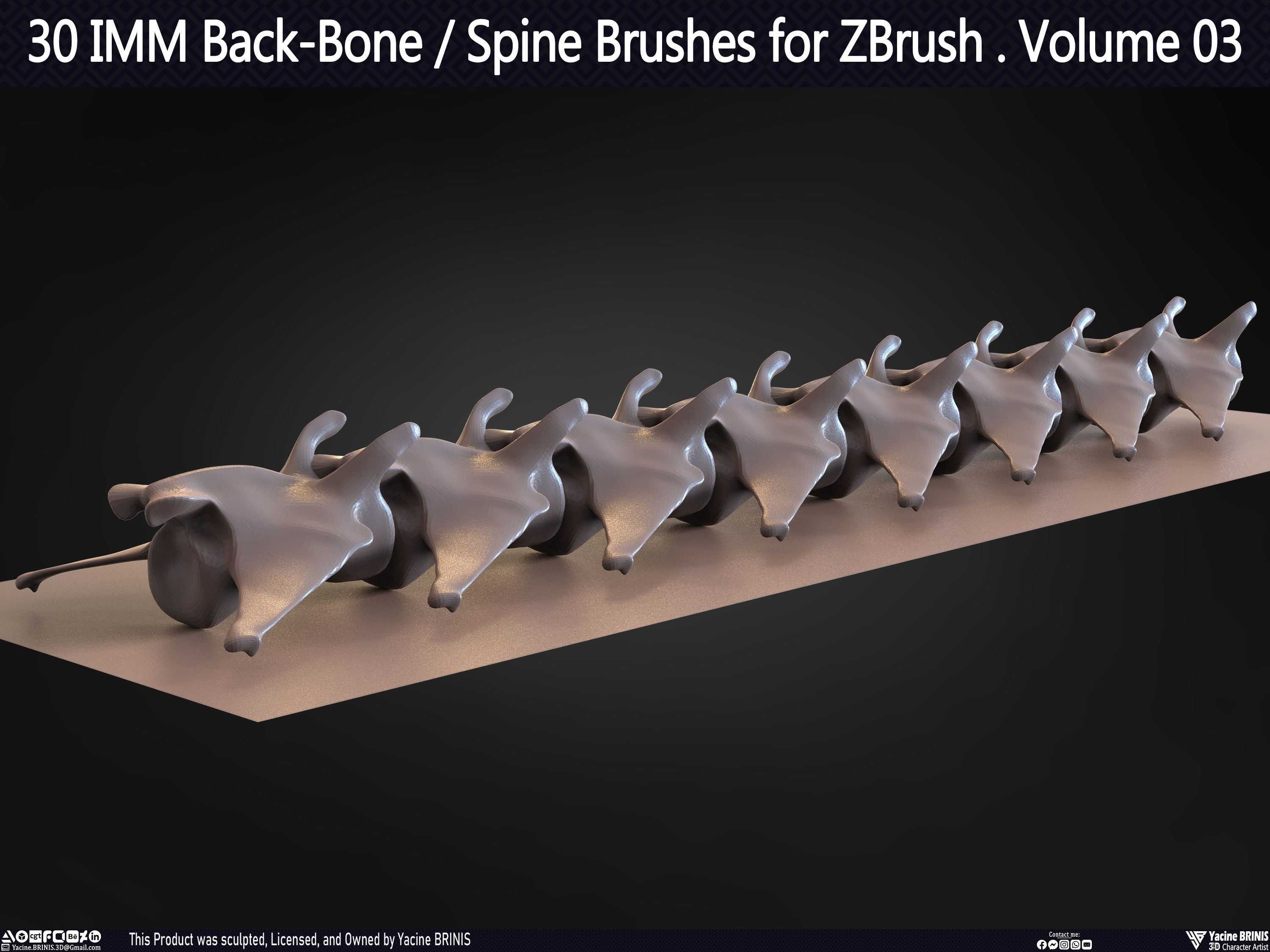 30 IMM Back-Bone - Spine ZBrush Brush Volume 03 Low-poly 3D model_47