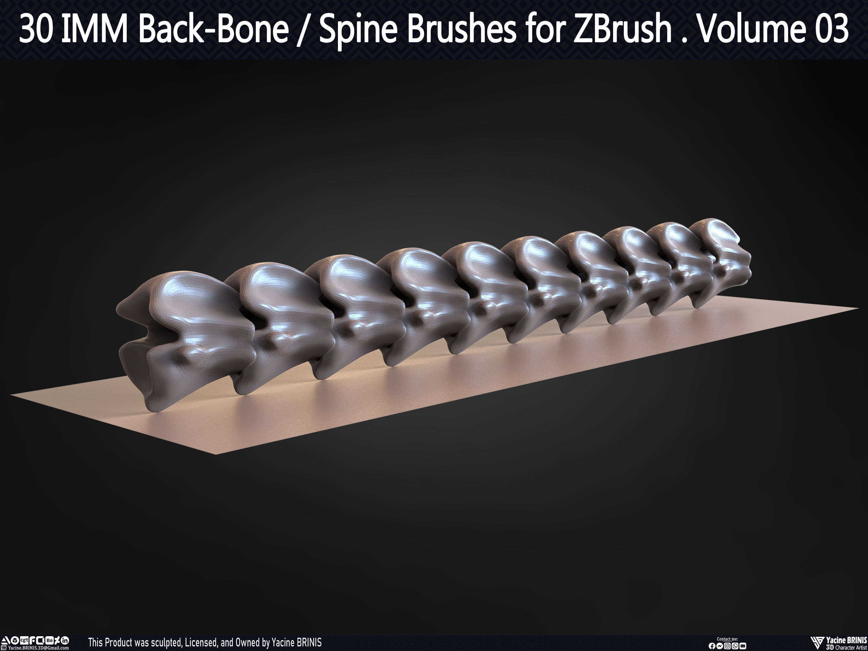 30 IMM Back-Bone - Spine ZBrush Brush Volume 03 Low-poly 3D model_35