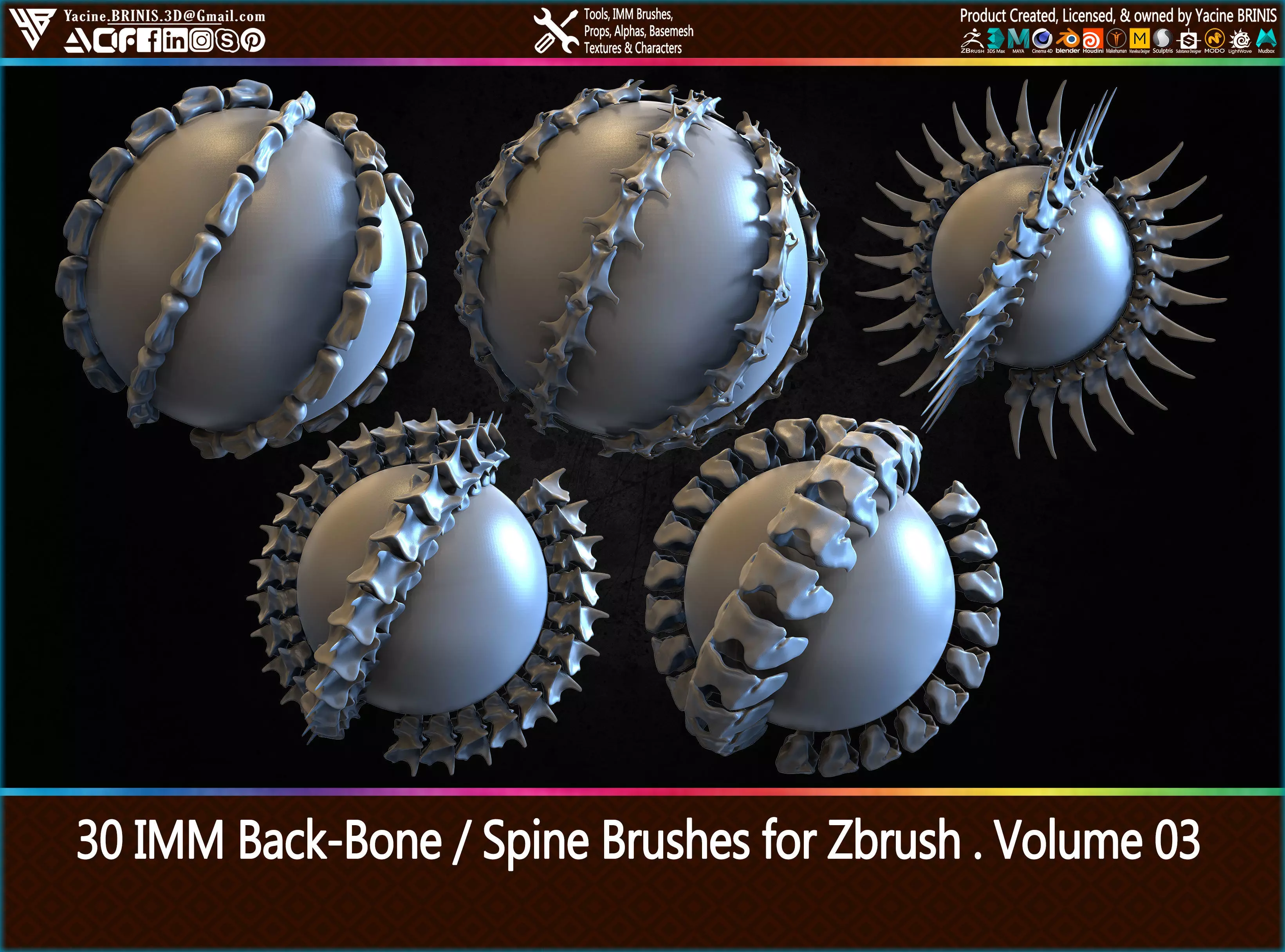 30 IMM Back-Bone - Spine ZBrush Brush Volume 03 Low-poly 3D model_0
