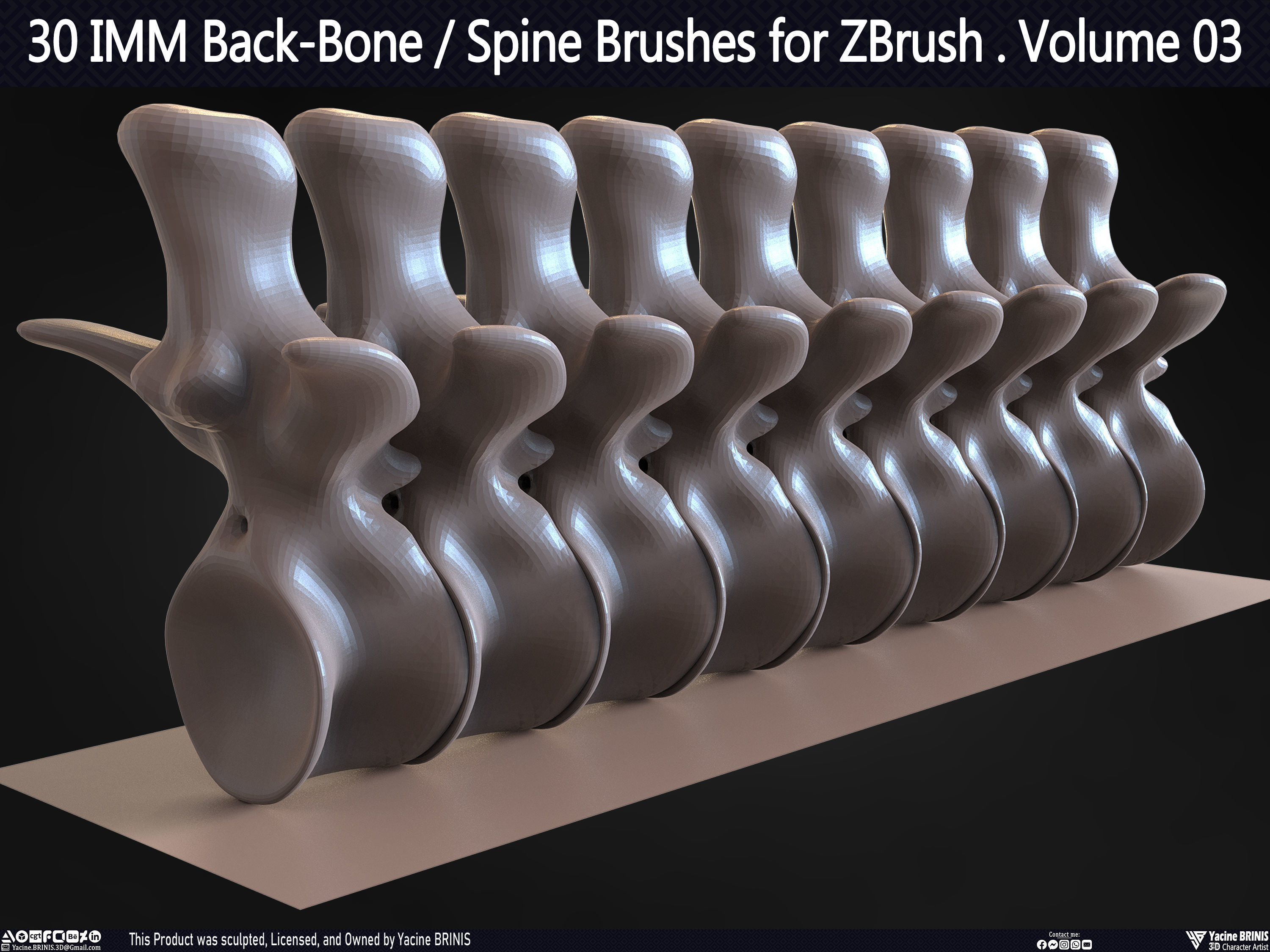 30 IMM Back-Bone - Spine ZBrush Brush Volume 03 Low-poly 3D model_62