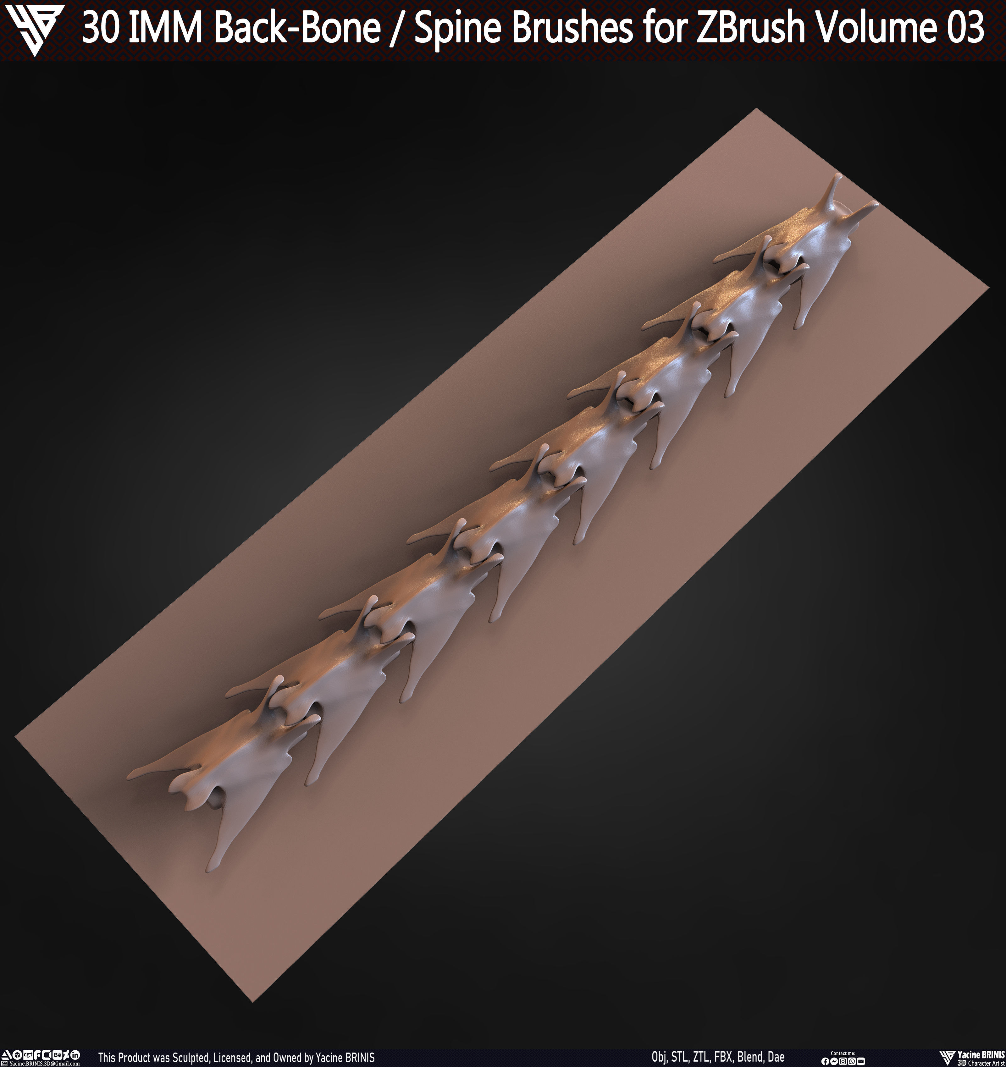 30 IMM Back-Bone - Spine ZBrush Brush Volume 03 Low-poly 3D model_70