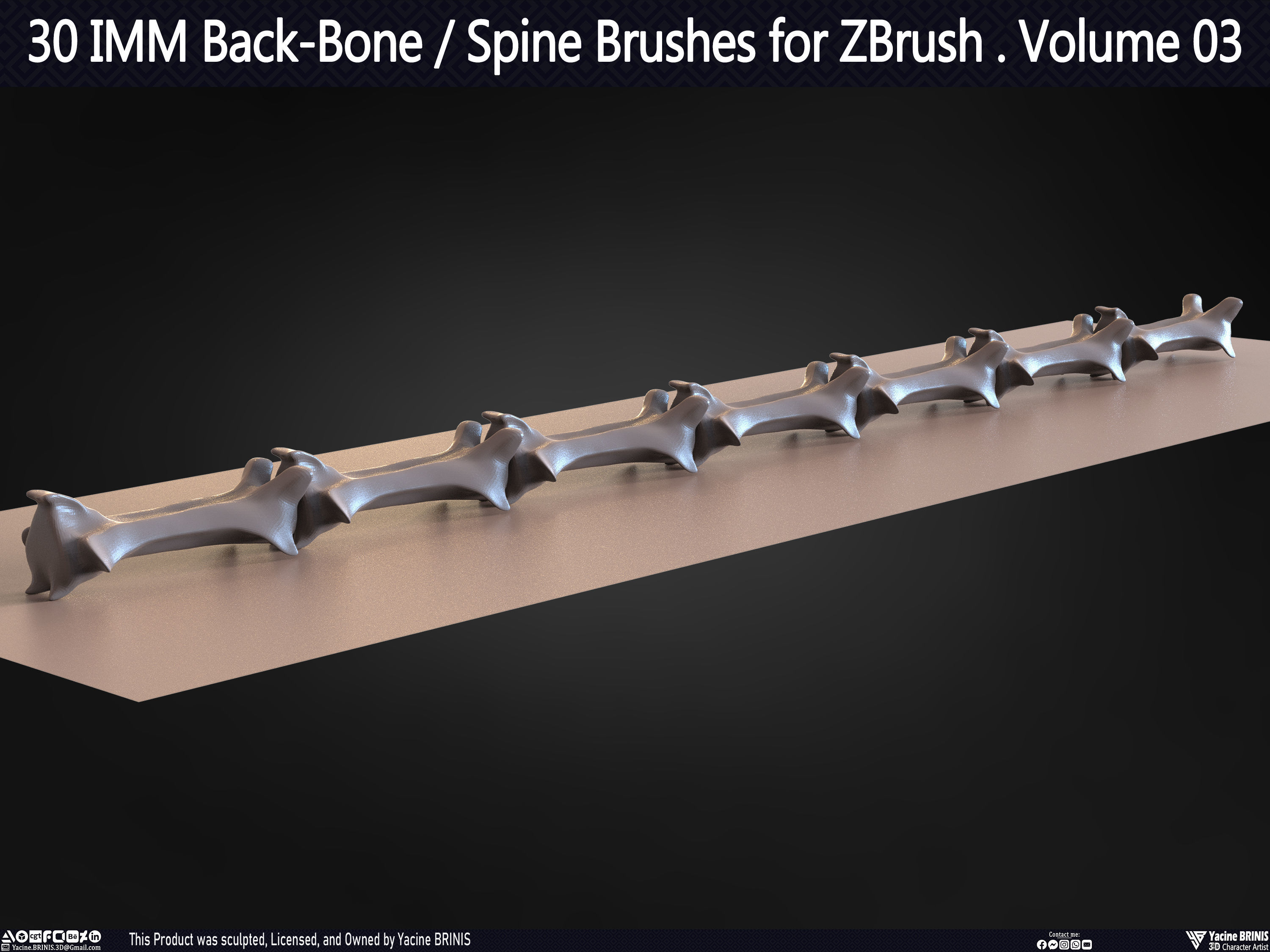 30 IMM Back-Bone - Spine ZBrush Brush Volume 03 Low-poly 3D model_44
