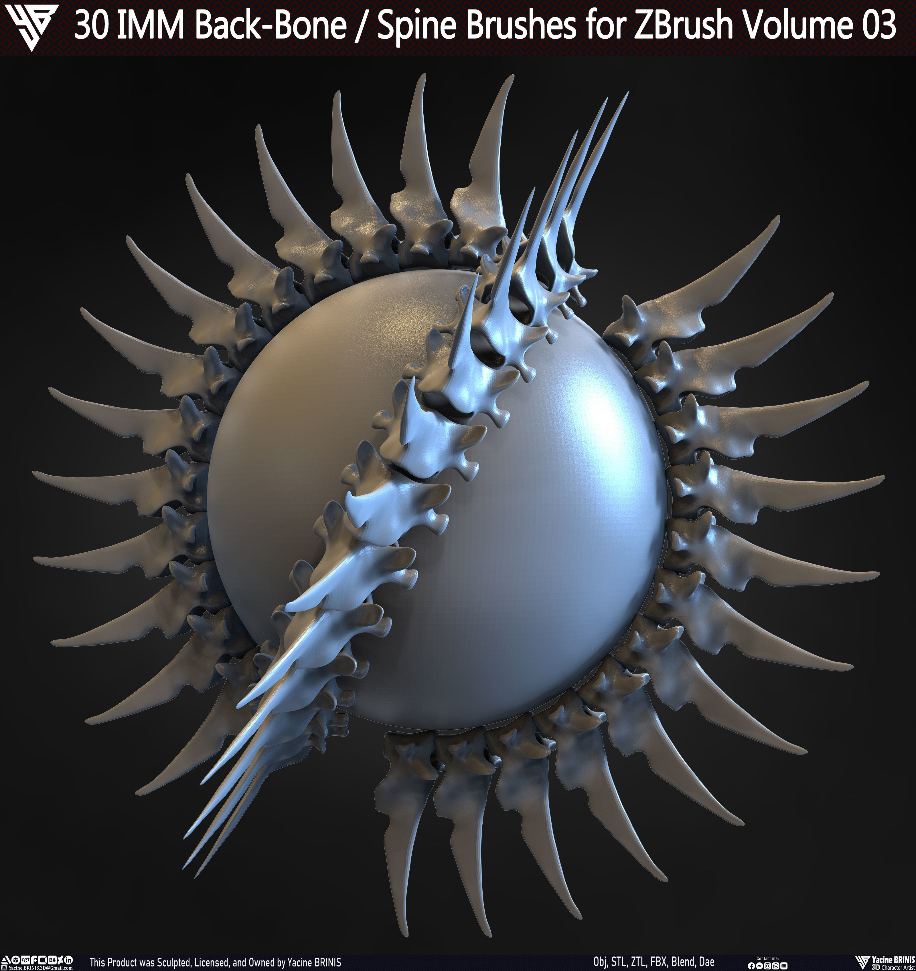 30 IMM Back-Bone - Spine ZBrush Brush Volume 03 Low-poly 3D model_23