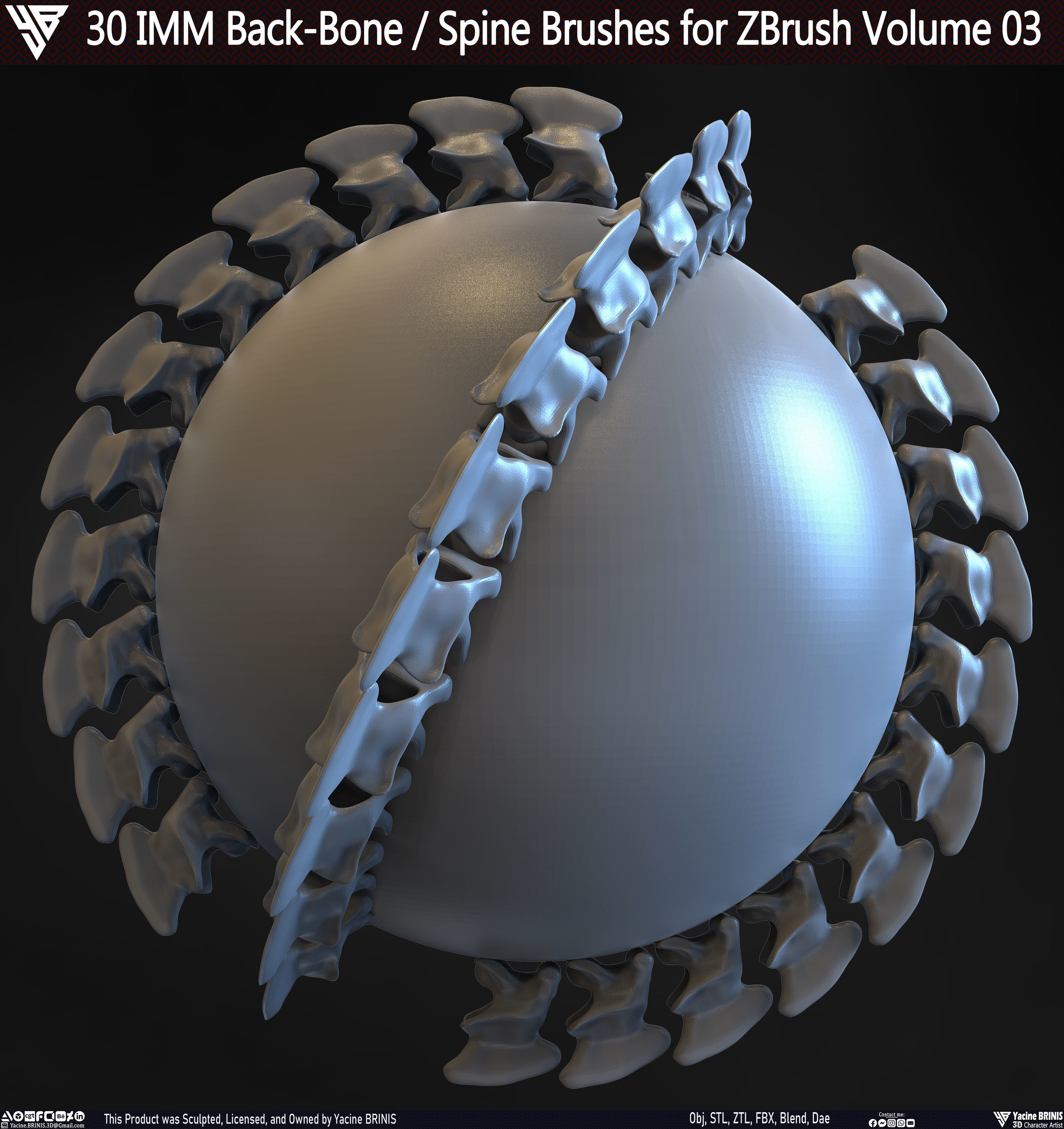 30 IMM Back-Bone - Spine ZBrush Brush Volume 03 Low-poly 3D model_28