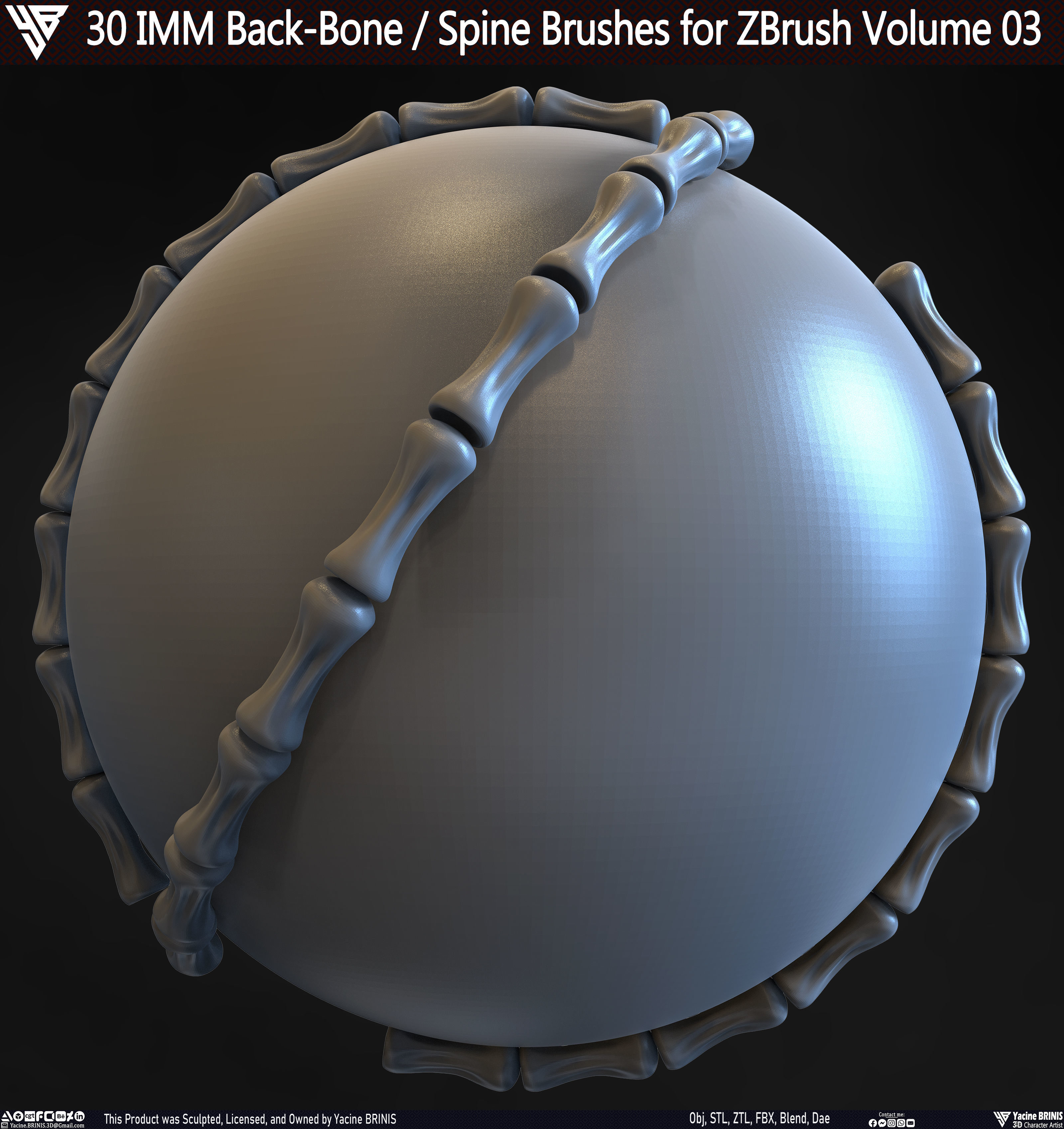 30 IMM Back-Bone - Spine ZBrush Brush Volume 03 Low-poly 3D model_11