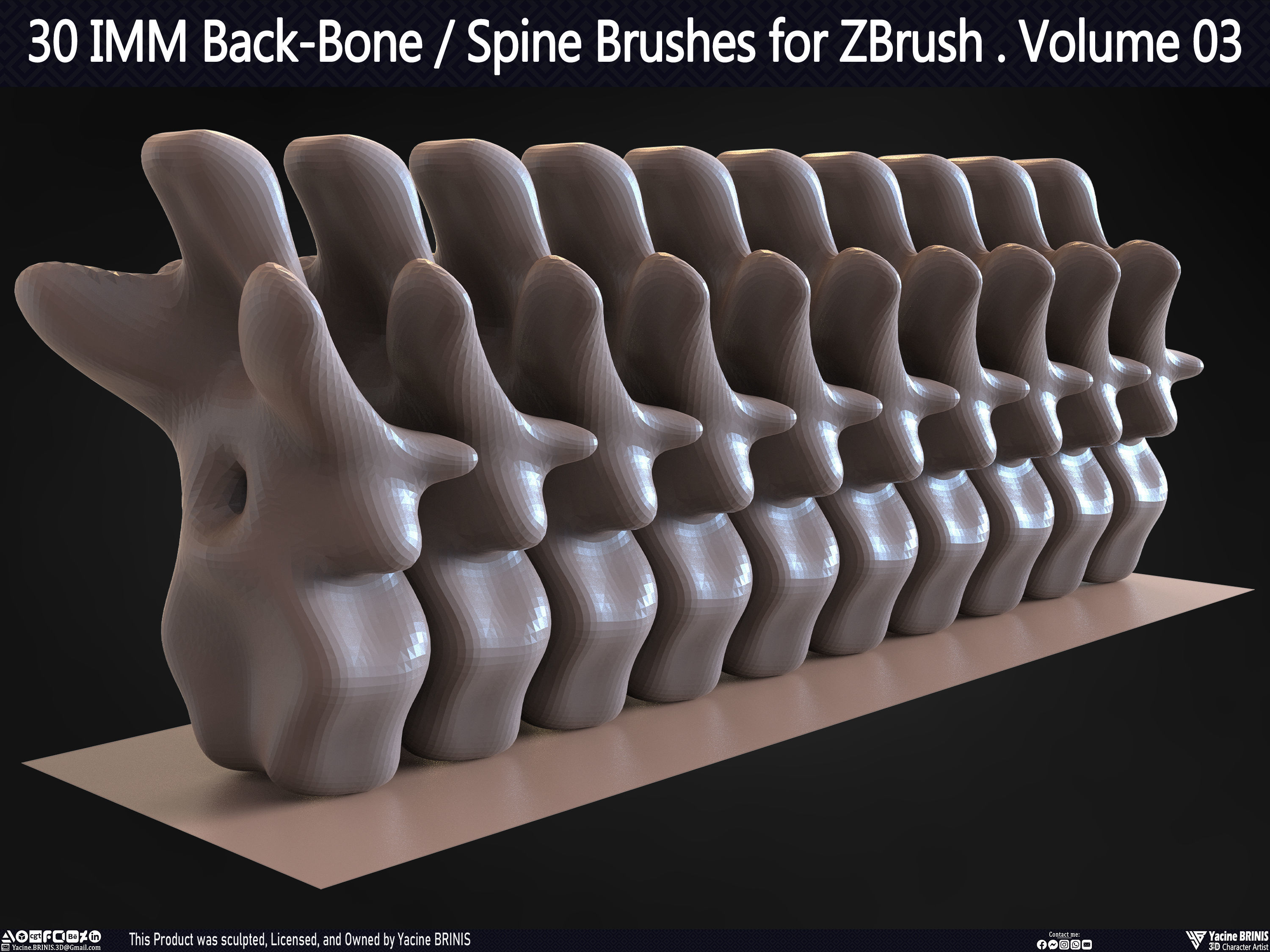 30 IMM Back-Bone - Spine ZBrush Brush Volume 03 Low-poly 3D model_61