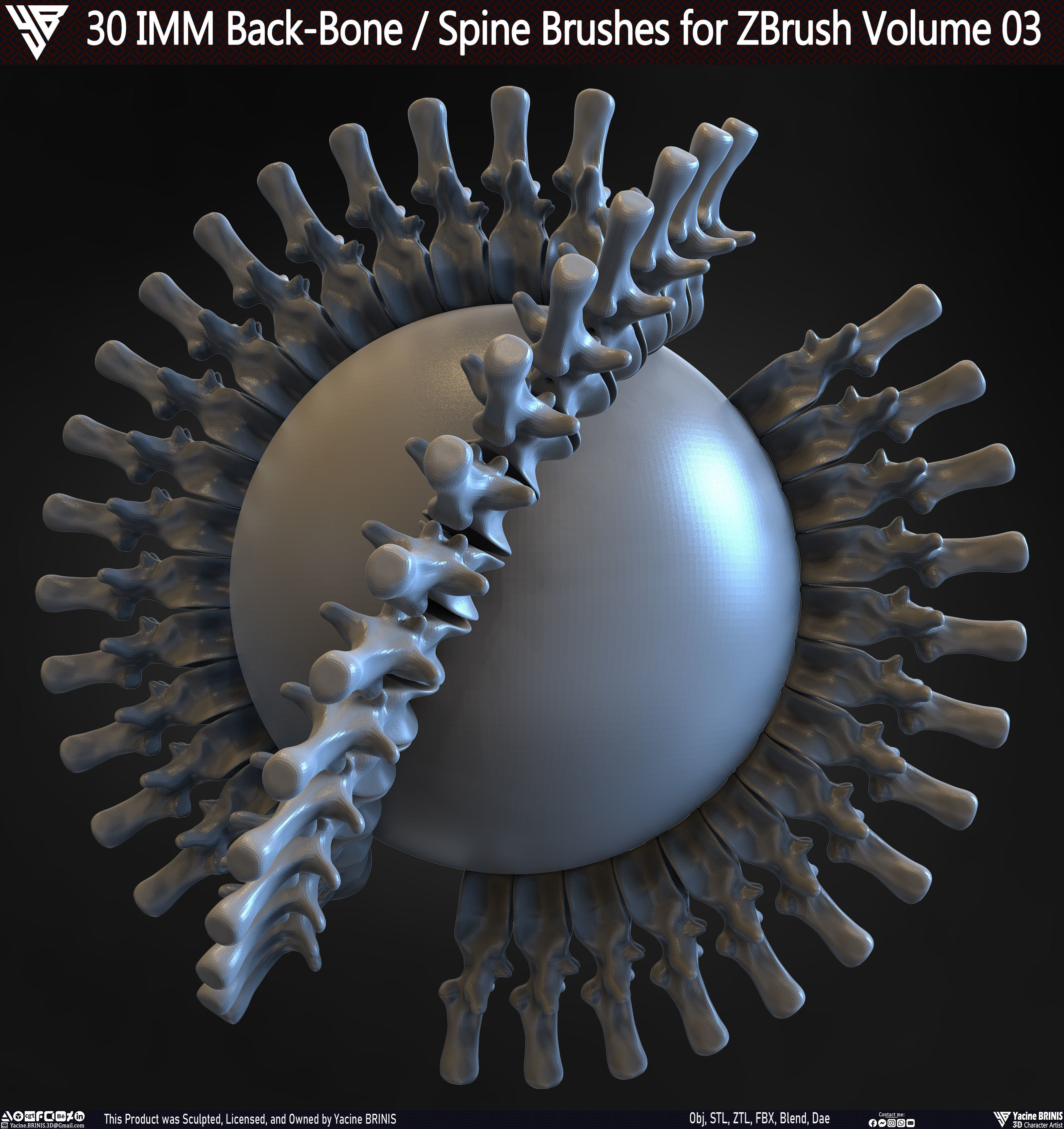 30 IMM Back-Bone - Spine ZBrush Brush Volume 03 Low-poly 3D model_33