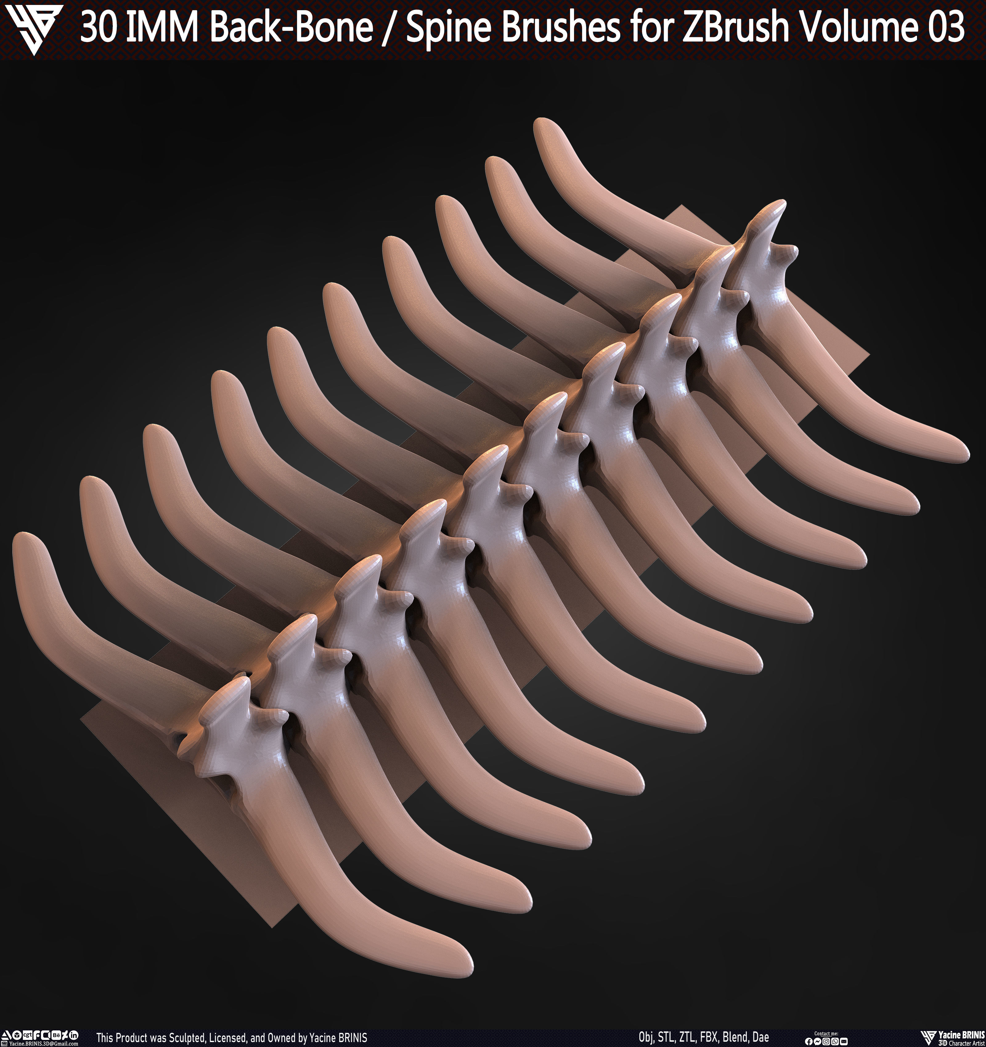 30 IMM Back-Bone - Spine ZBrush Brush Volume 03 Low-poly 3D model_65