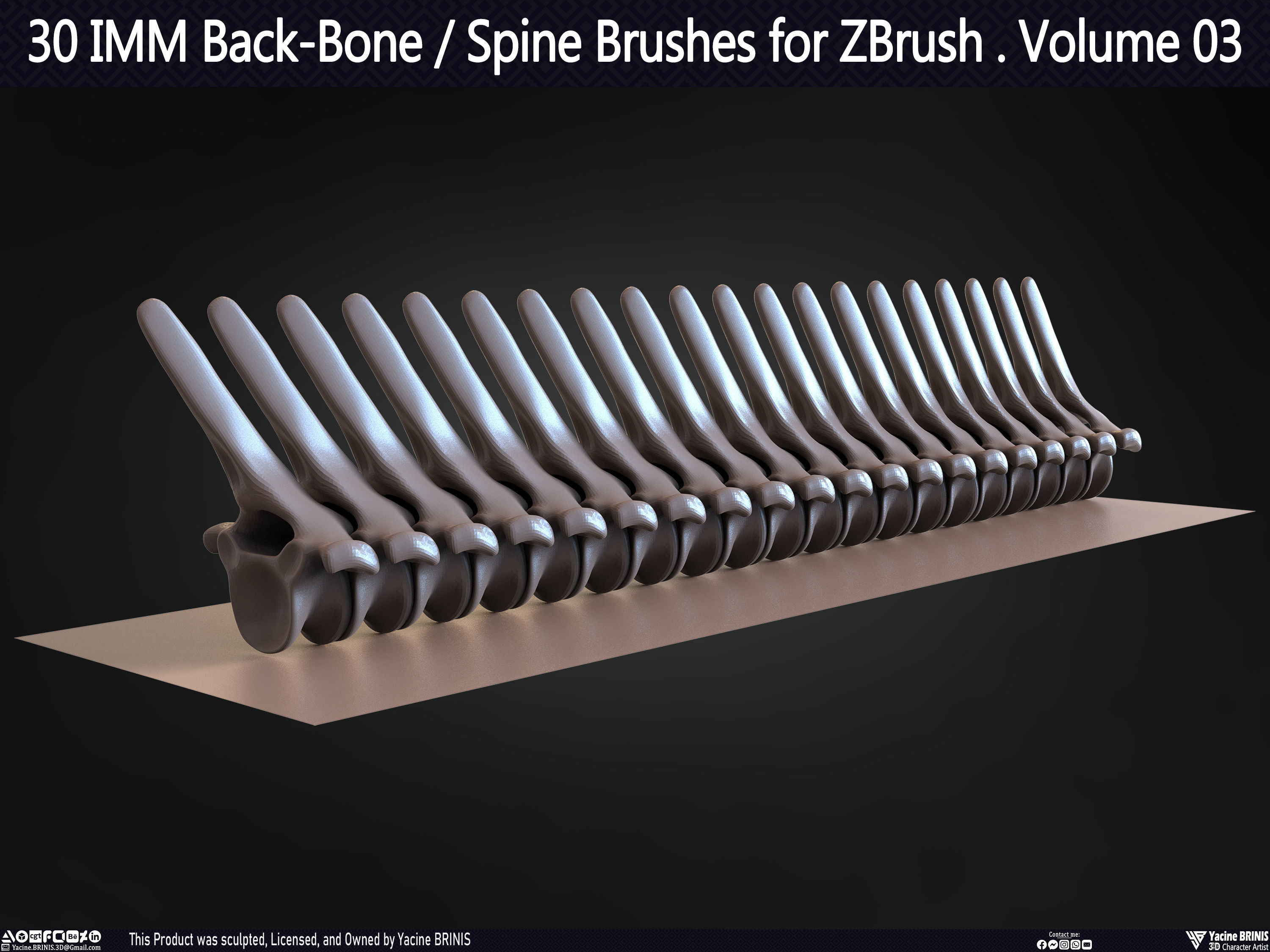 30 IMM Back-Bone - Spine ZBrush Brush Volume 03 Low-poly 3D model_37