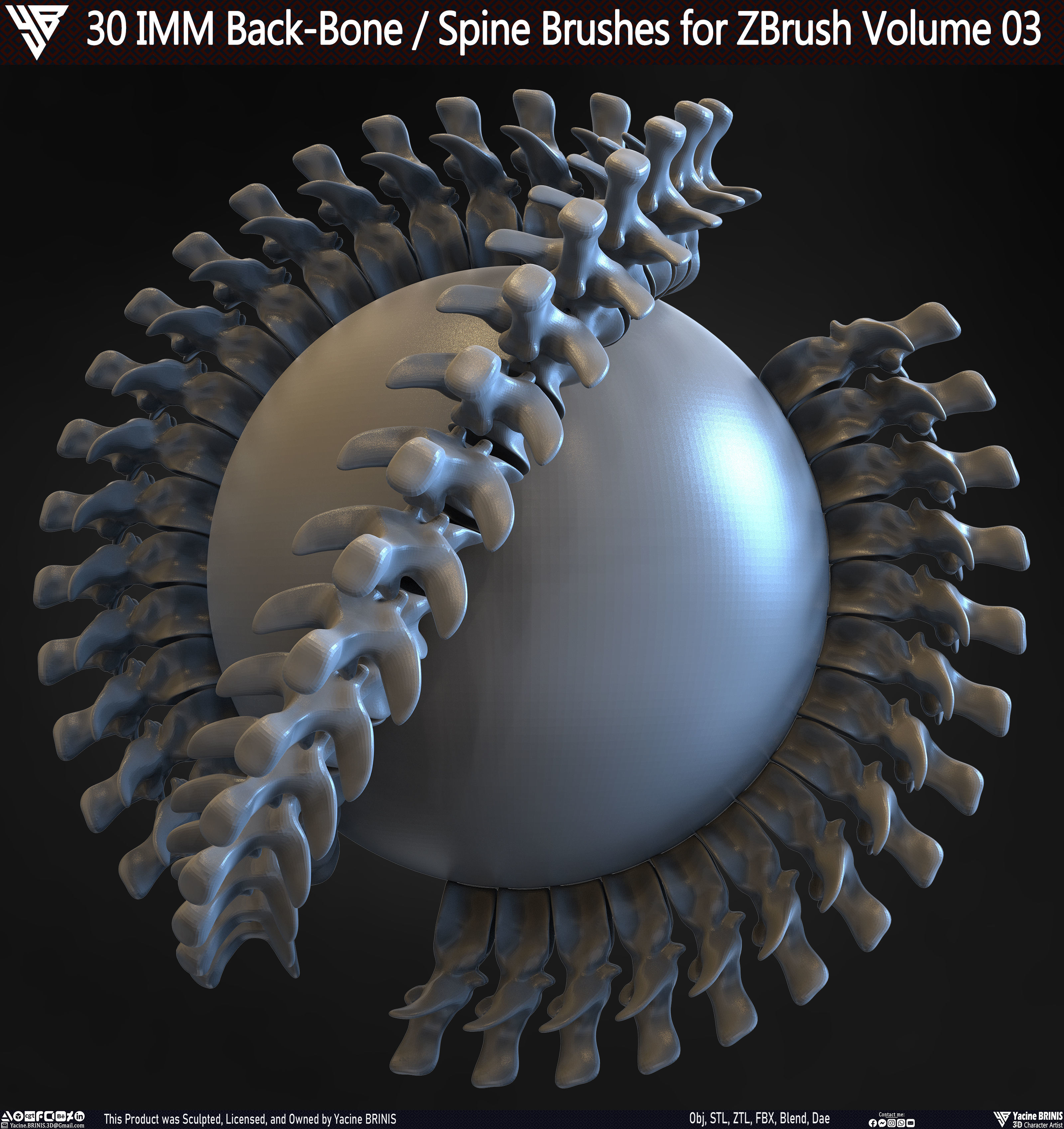 30 IMM Back-Bone - Spine ZBrush Brush Volume 03 Low-poly 3D model_32