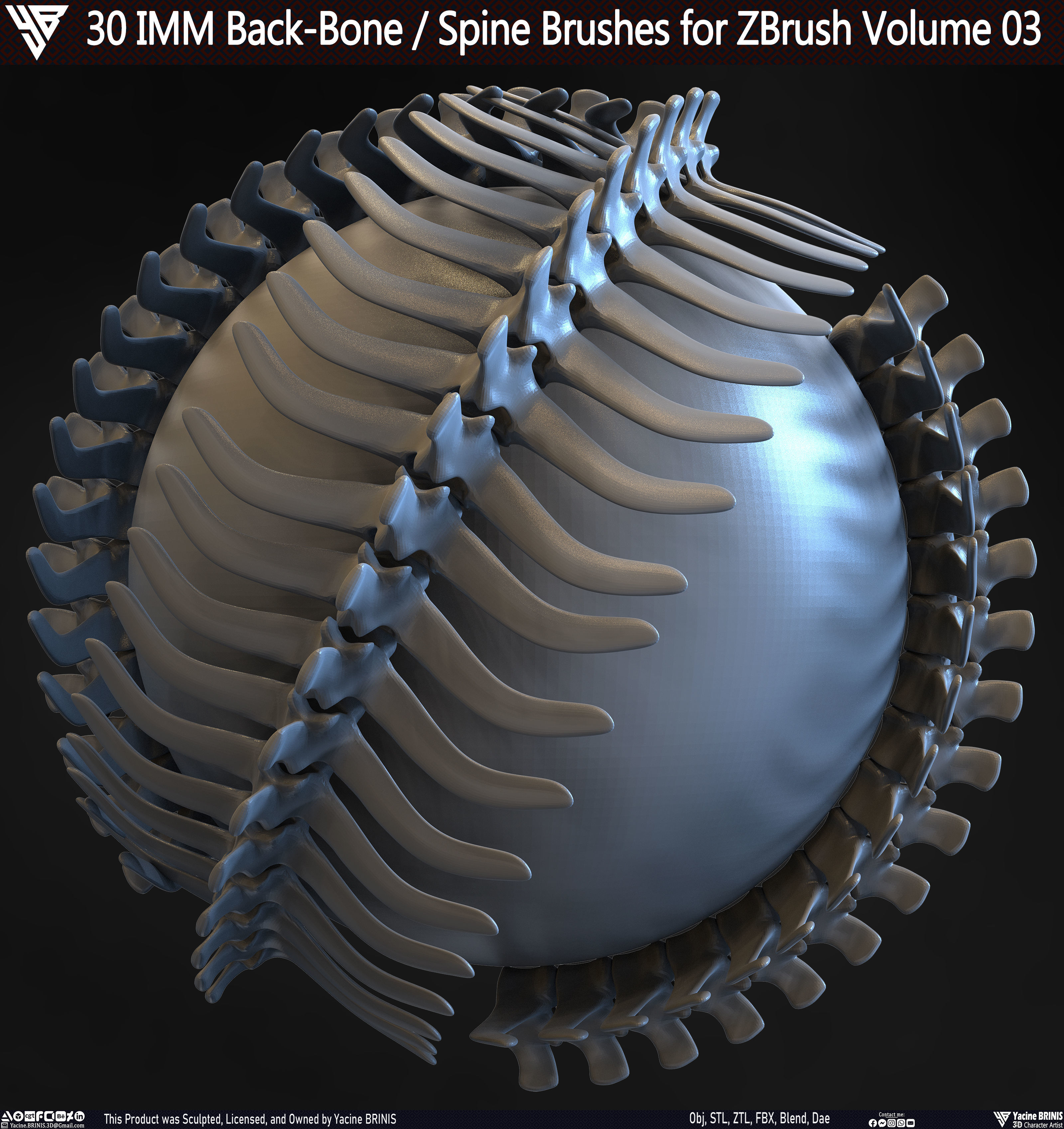 30 IMM Back-Bone - Spine ZBrush Brush Volume 03 Low-poly 3D model_9
