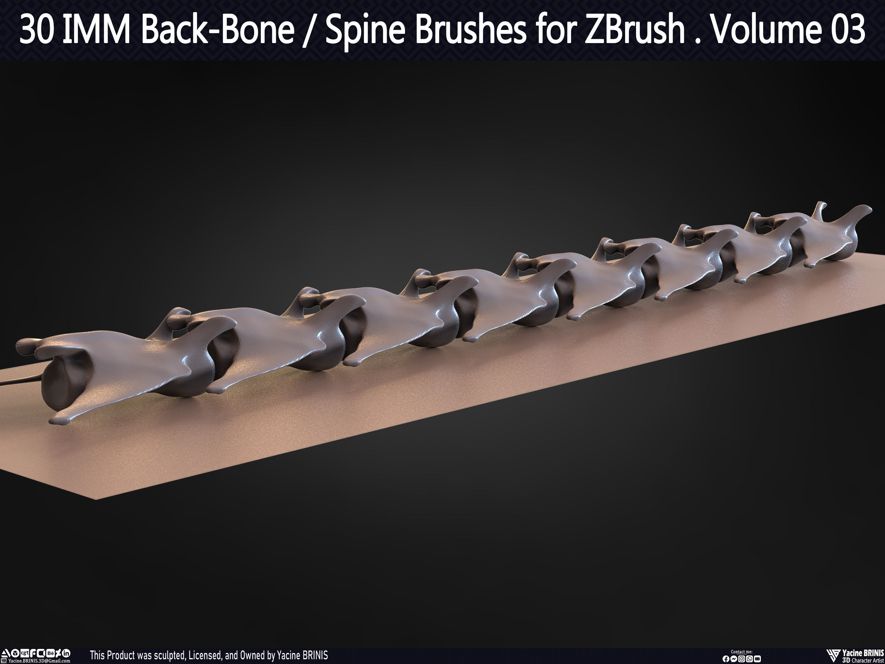 30 IMM Back-Bone - Spine ZBrush Brush Volume 03 Low-poly 3D model_46
