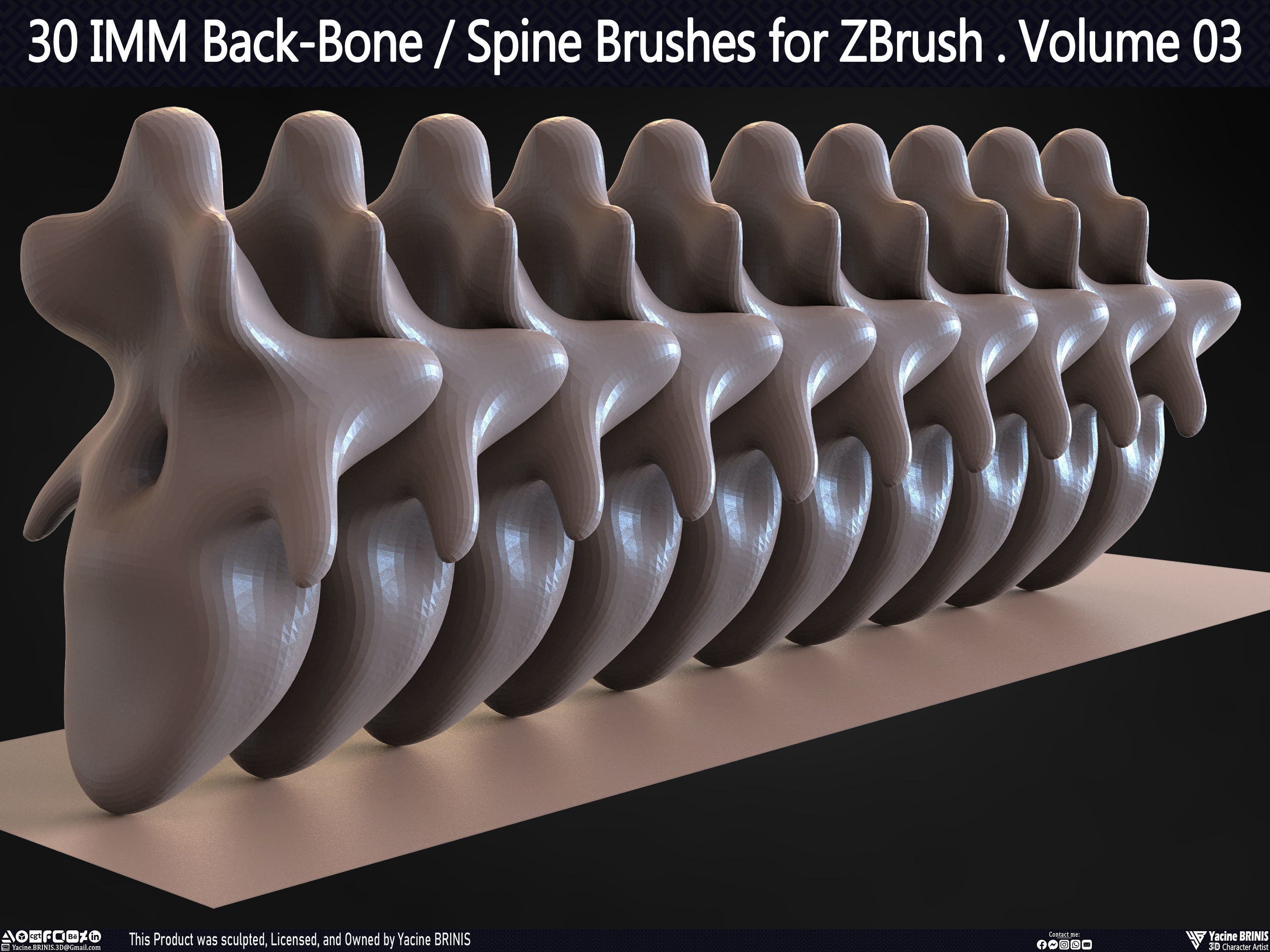 30 IMM Back-Bone - Spine ZBrush Brush Volume 03 Low-poly 3D model_60