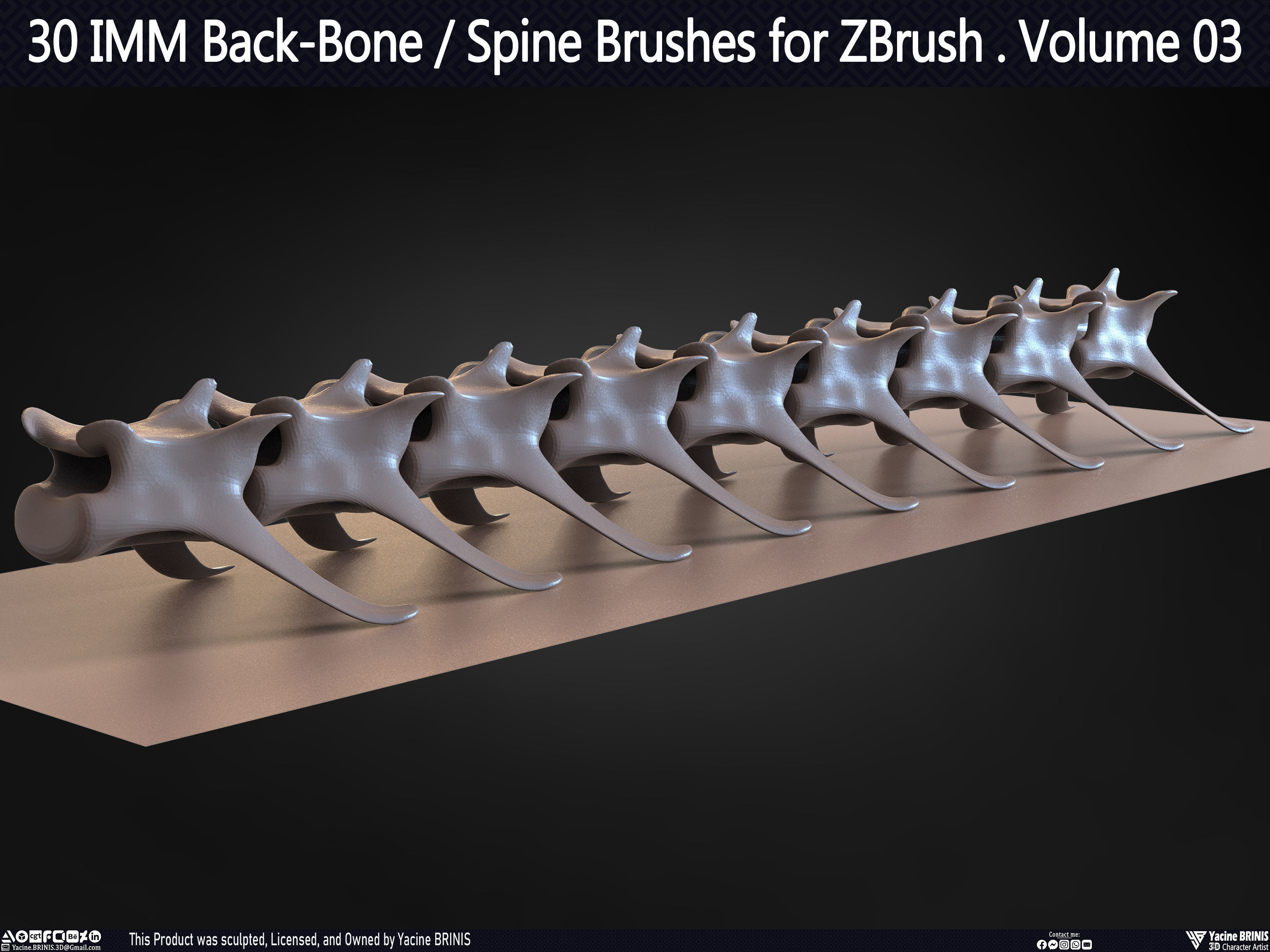 30 IMM Back-Bone - Spine ZBrush Brush Volume 03 Low-poly 3D model_48