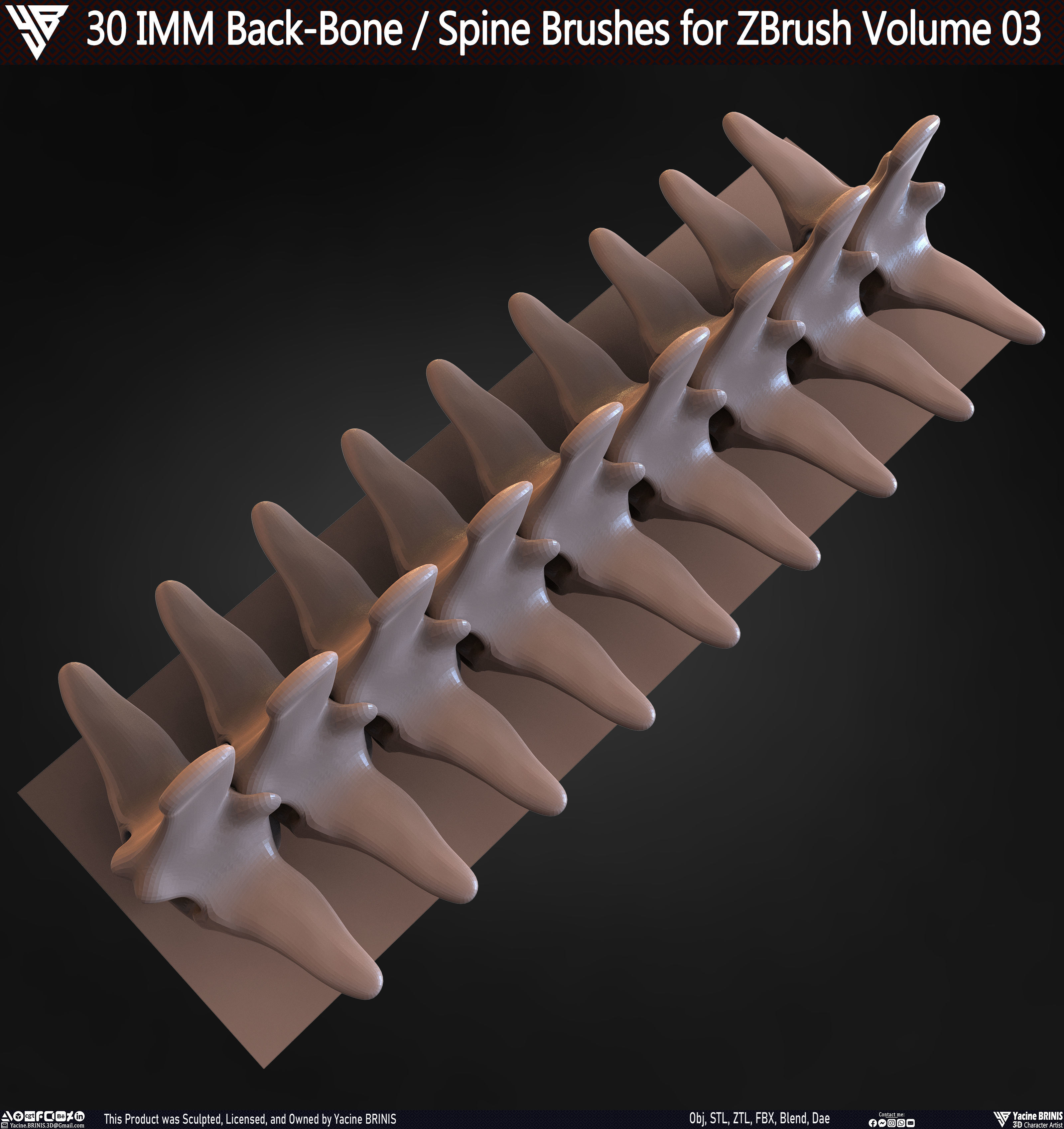 30 IMM Back-Bone - Spine ZBrush Brush Volume 03 Low-poly 3D model_66