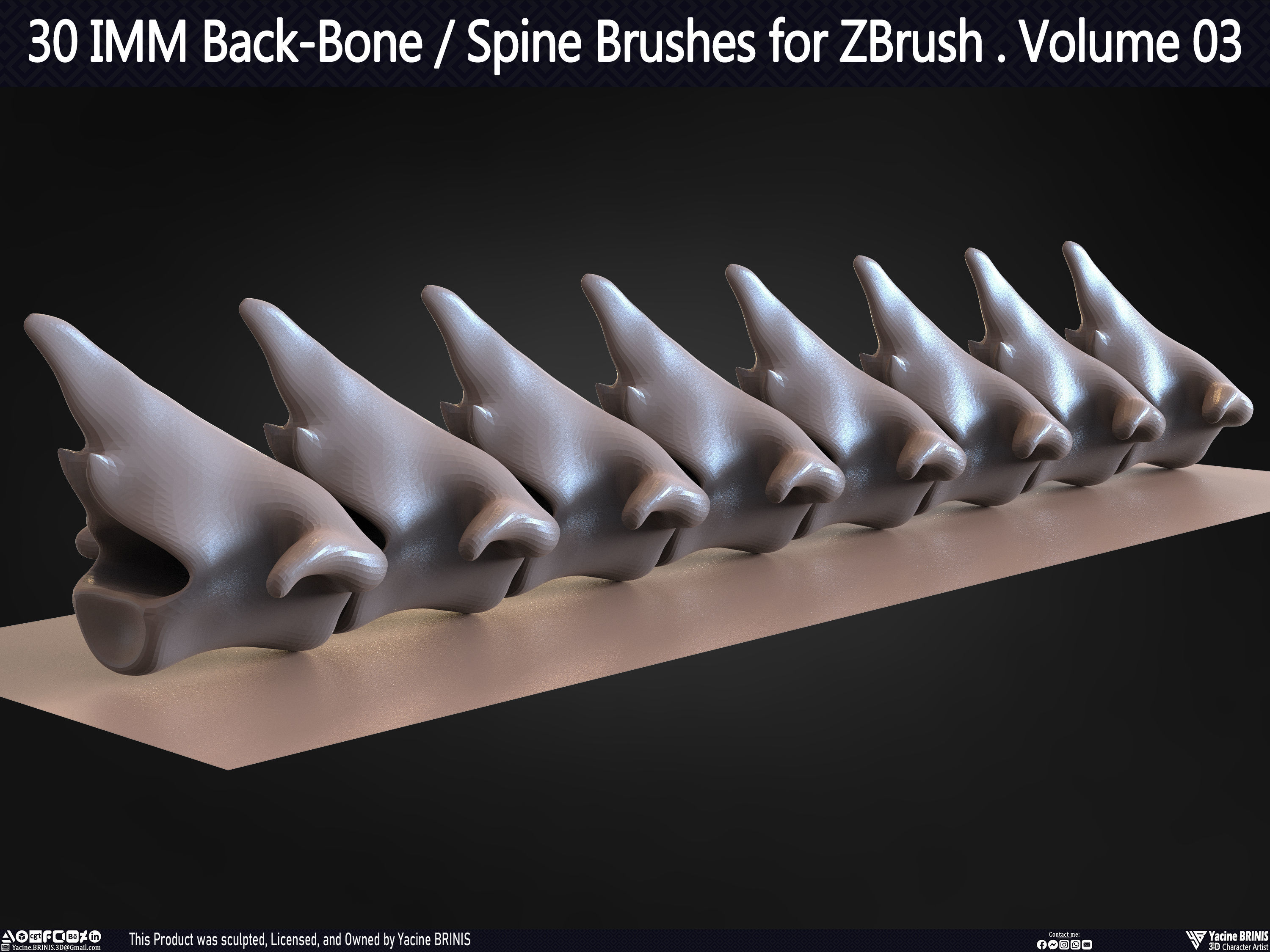 30 IMM Back-Bone - Spine ZBrush Brush Volume 03 Low-poly 3D model_51