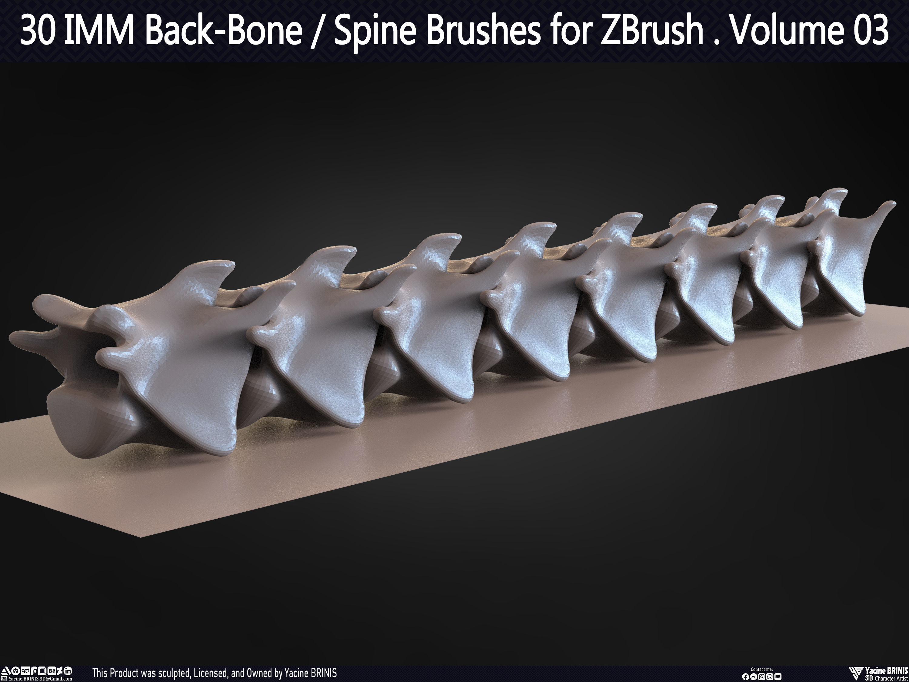 30 IMM Back-Bone - Spine ZBrush Brush Volume 03 Low-poly 3D model_49