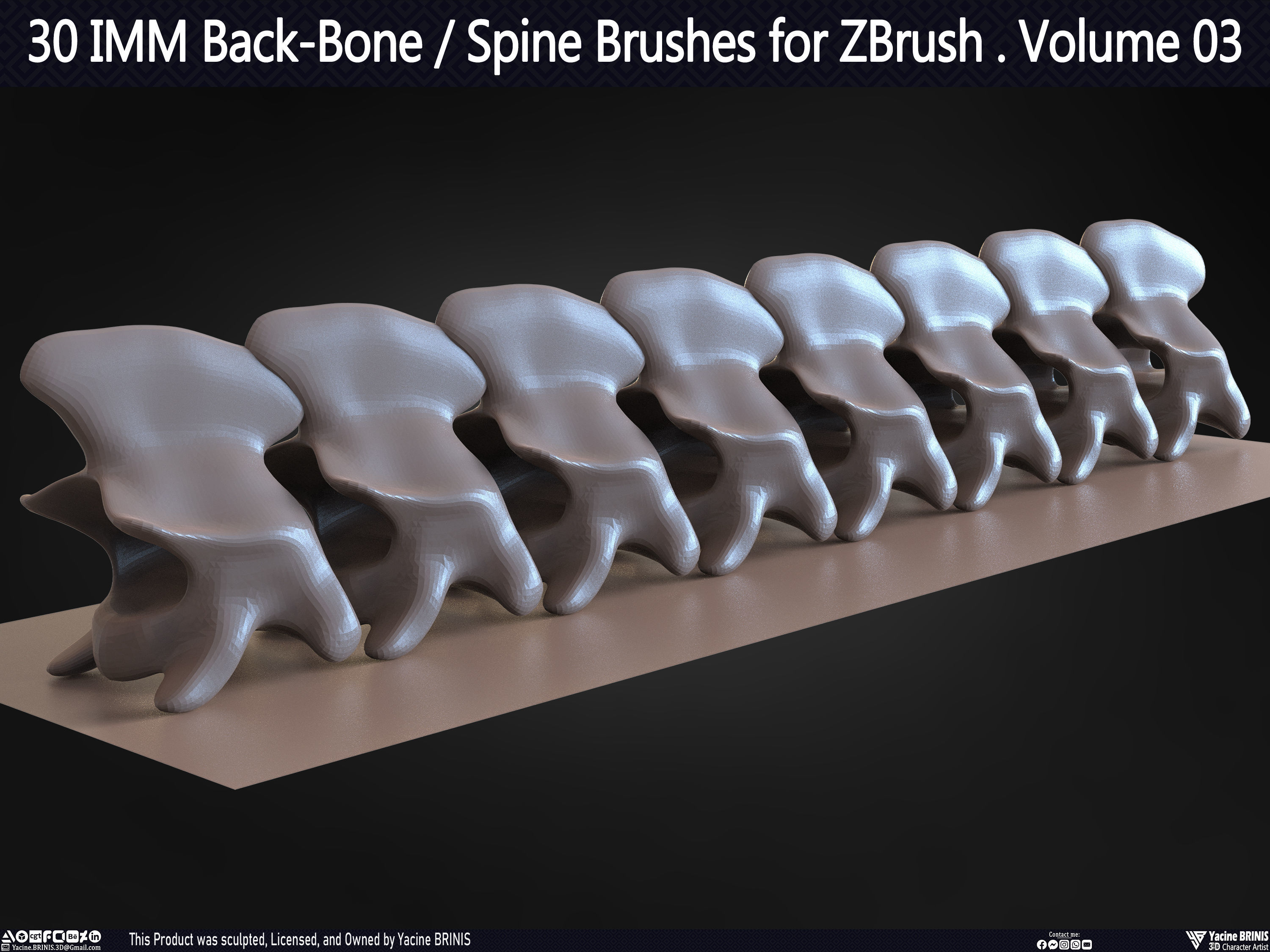 30 IMM Back-Bone - Spine ZBrush Brush Volume 03 Low-poly 3D model_58