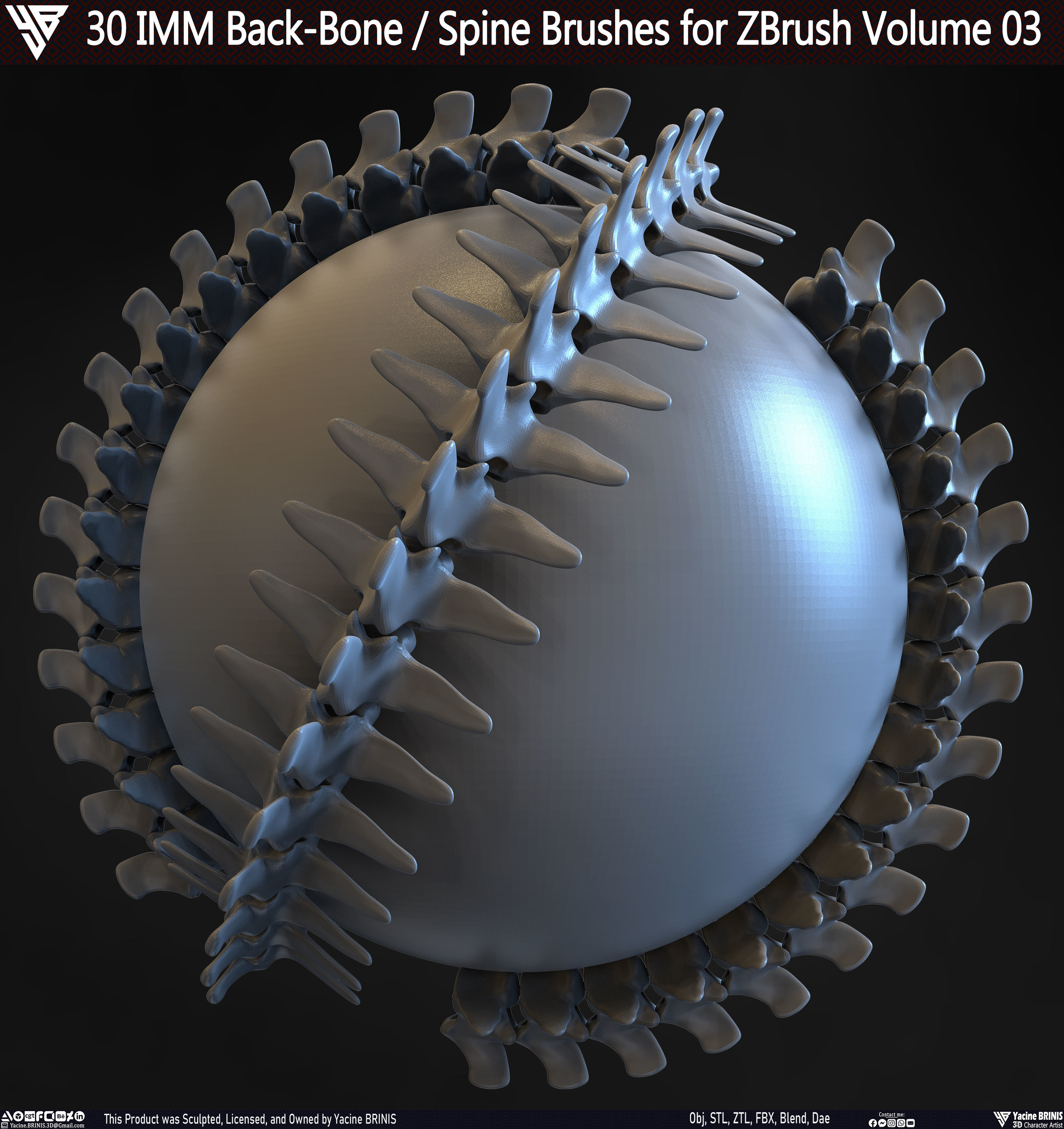 30 IMM Back-Bone - Spine ZBrush Brush Volume 03 Low-poly 3D model_10