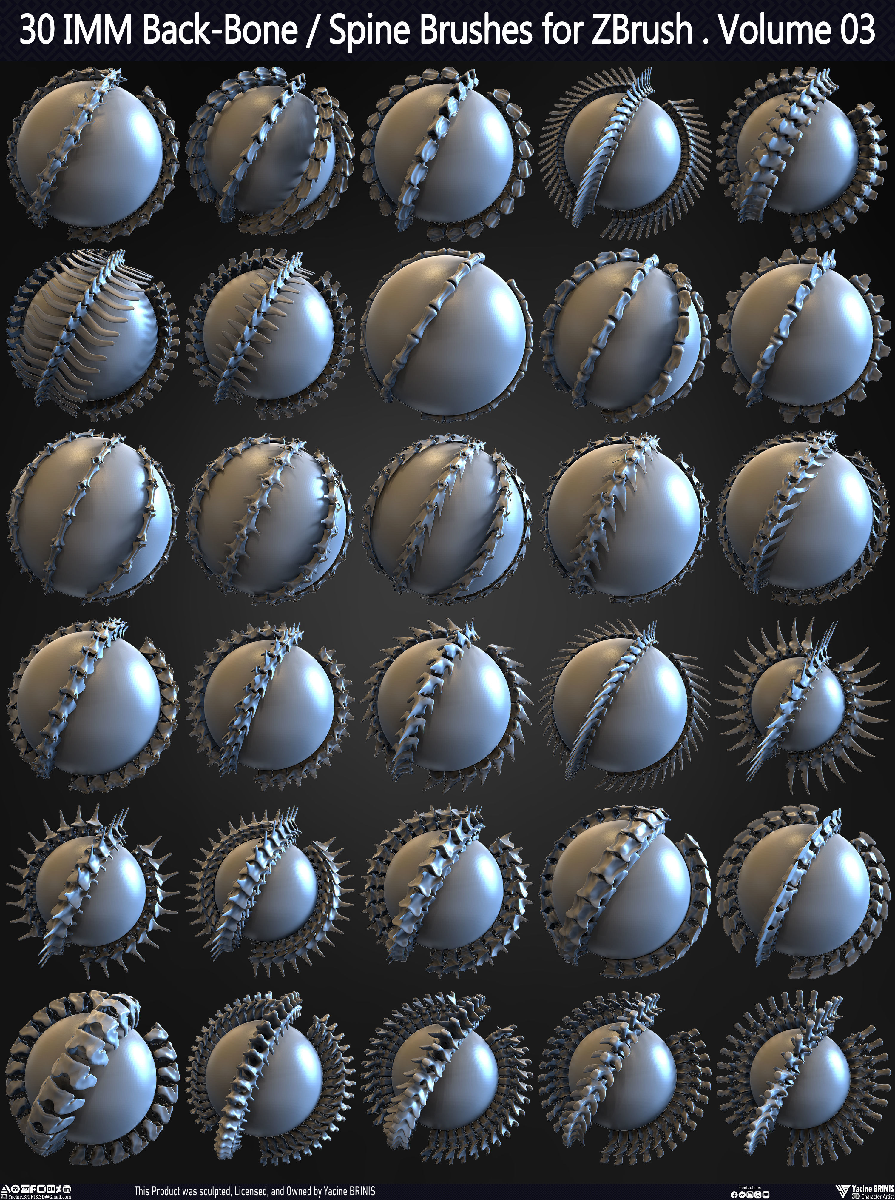 30 IMM Back-Bone - Spine ZBrush Brush Volume 03 Low-poly 3D model_1