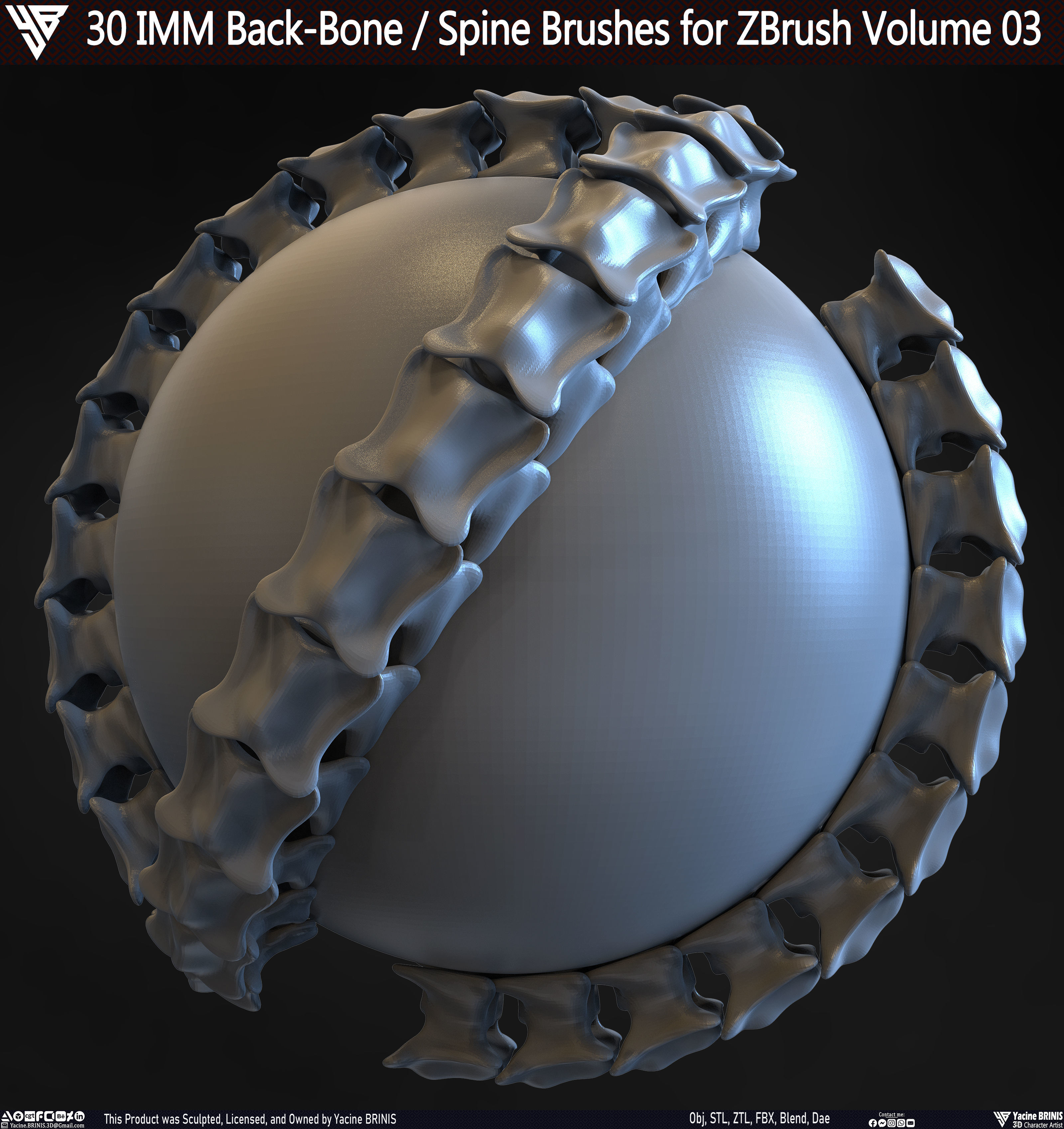 30 IMM Back-Bone - Spine ZBrush Brush Volume 03 Low-poly 3D model_27