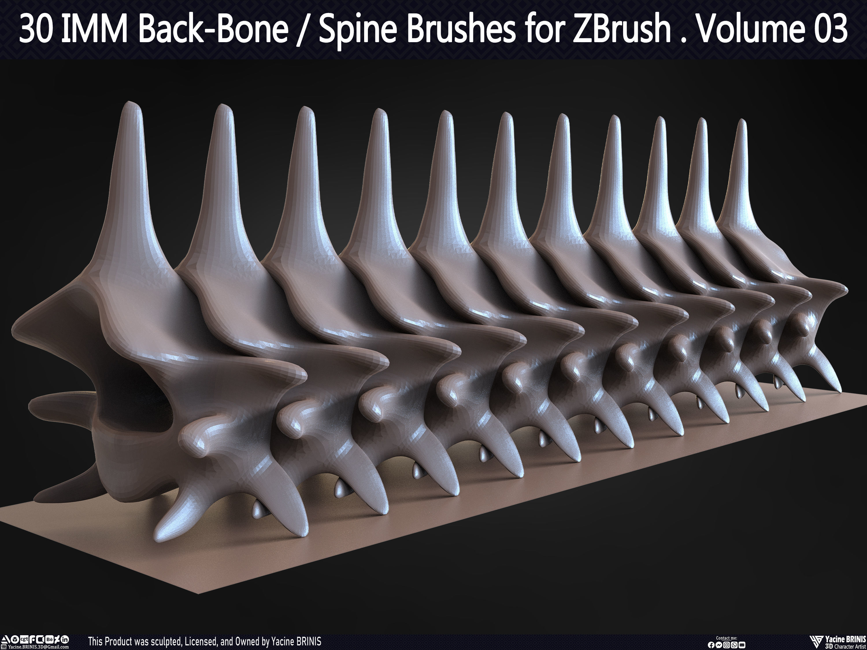 30 IMM Back-Bone - Spine ZBrush Brush Volume 03 Low-poly 3D model_55