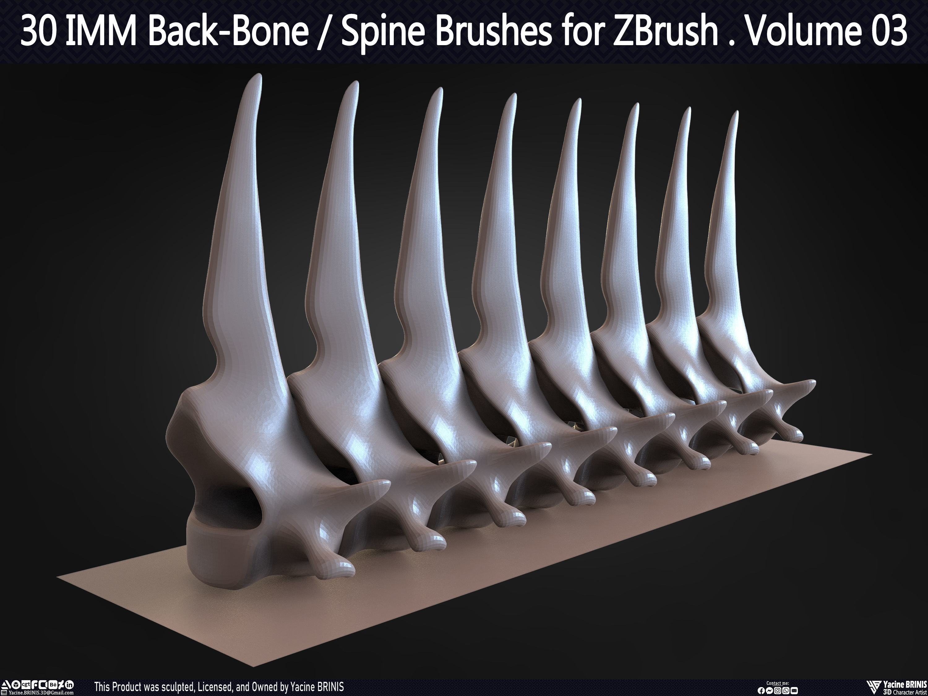 30 IMM Back-Bone - Spine ZBrush Brush Volume 03 Low-poly 3D model_53