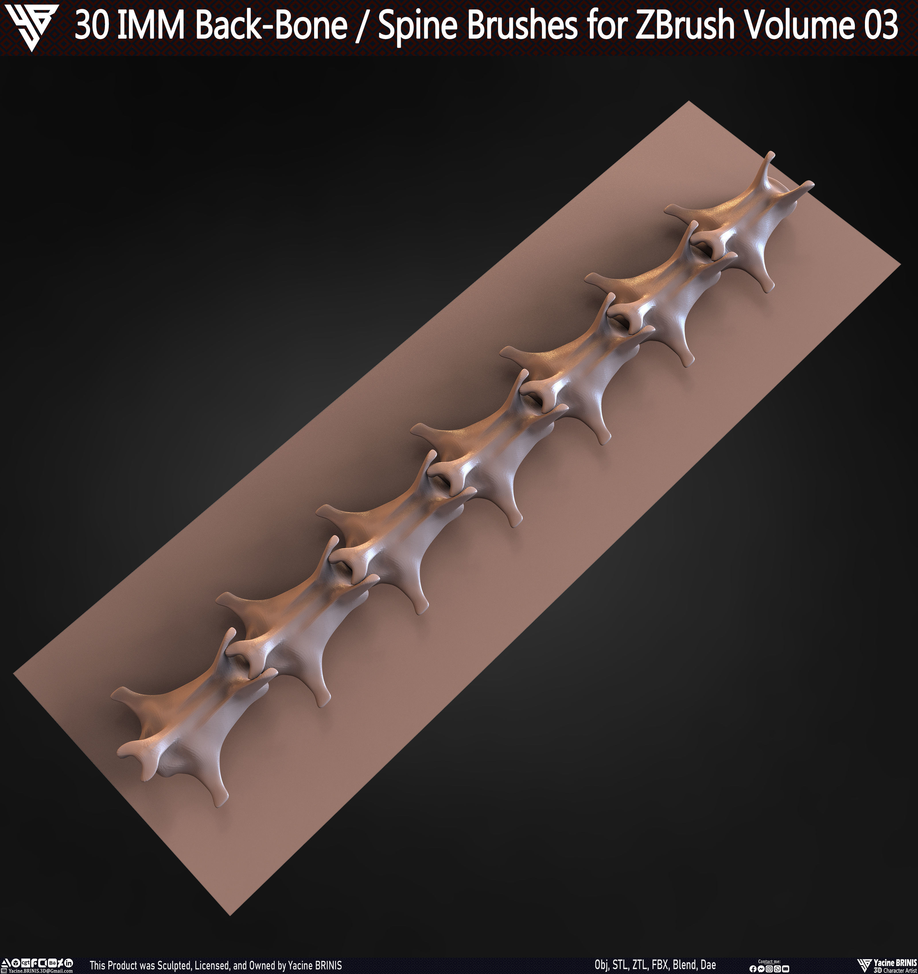 30 IMM Back-Bone - Spine ZBrush Brush Volume 03 Low-poly 3D model_69
