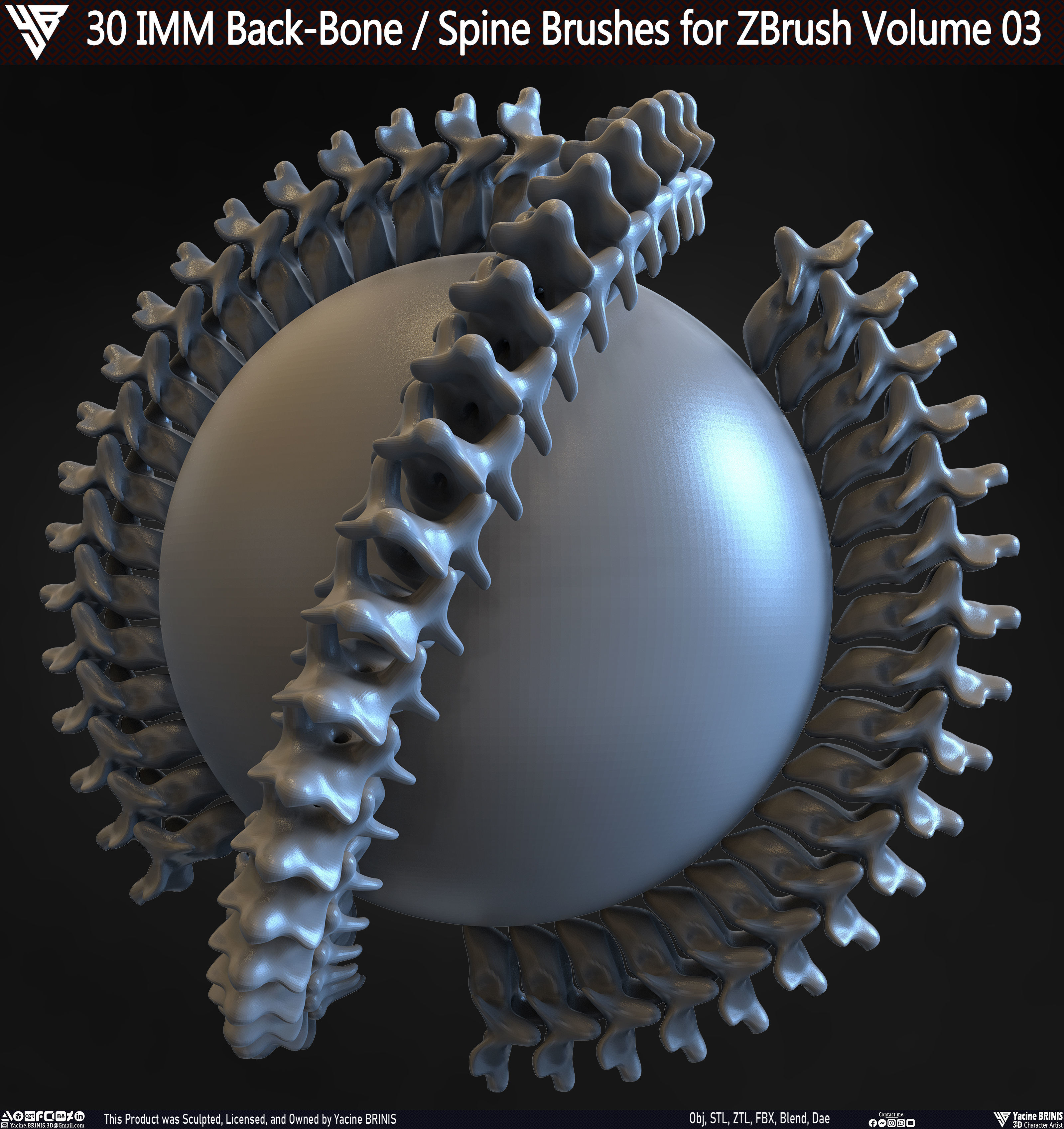 30 IMM Back-Bone - Spine ZBrush Brush Volume 03 Low-poly 3D model_30
