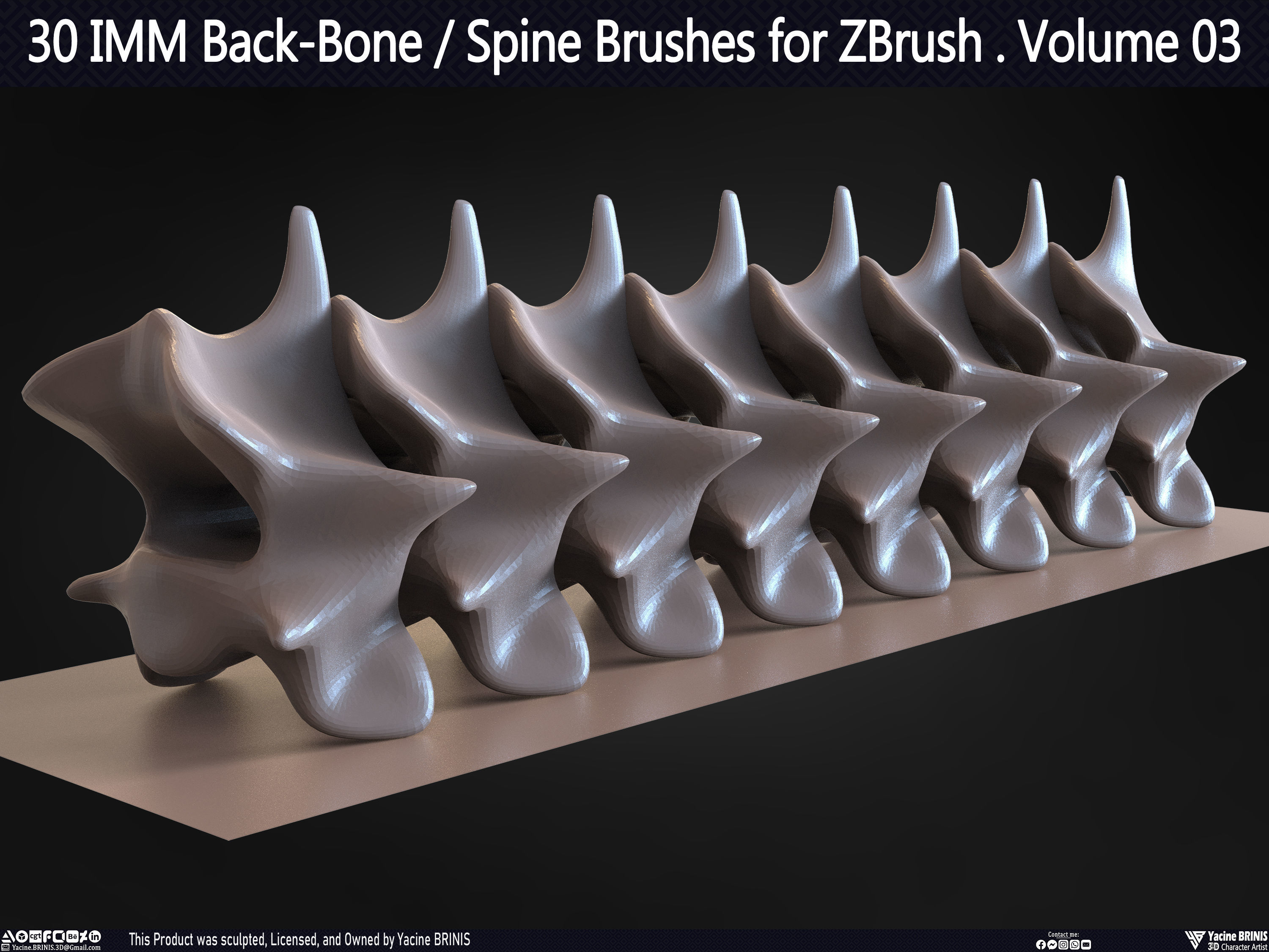 30 IMM Back-Bone - Spine ZBrush Brush Volume 03 Low-poly 3D model_56