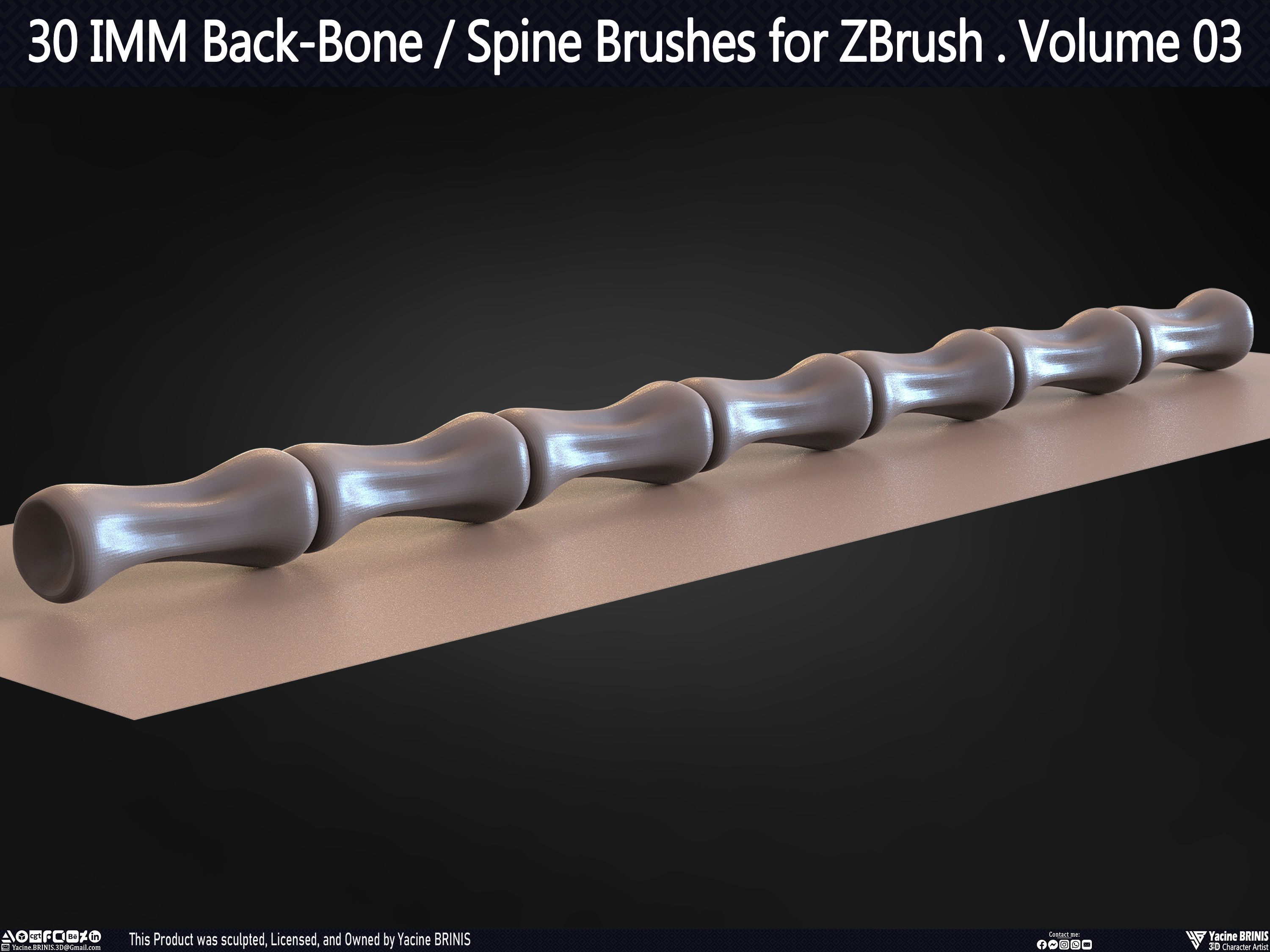 30 IMM Back-Bone - Spine ZBrush Brush Volume 03 Low-poly 3D model_41