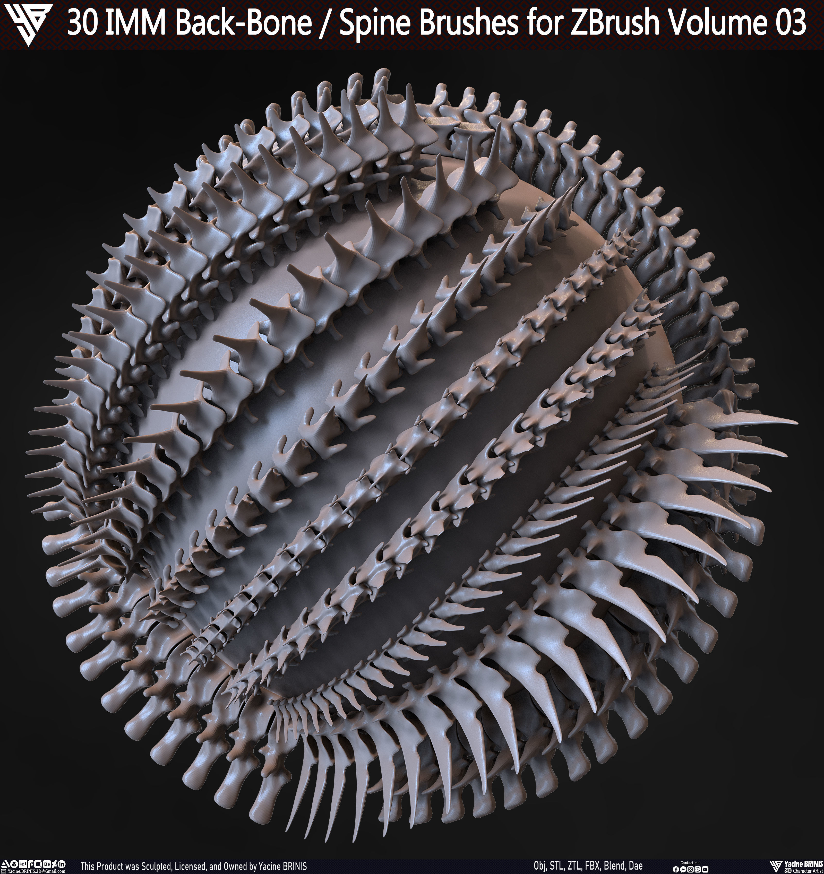 30 IMM Back-Bone - Spine ZBrush Brush Volume 03 Low-poly 3D model_3