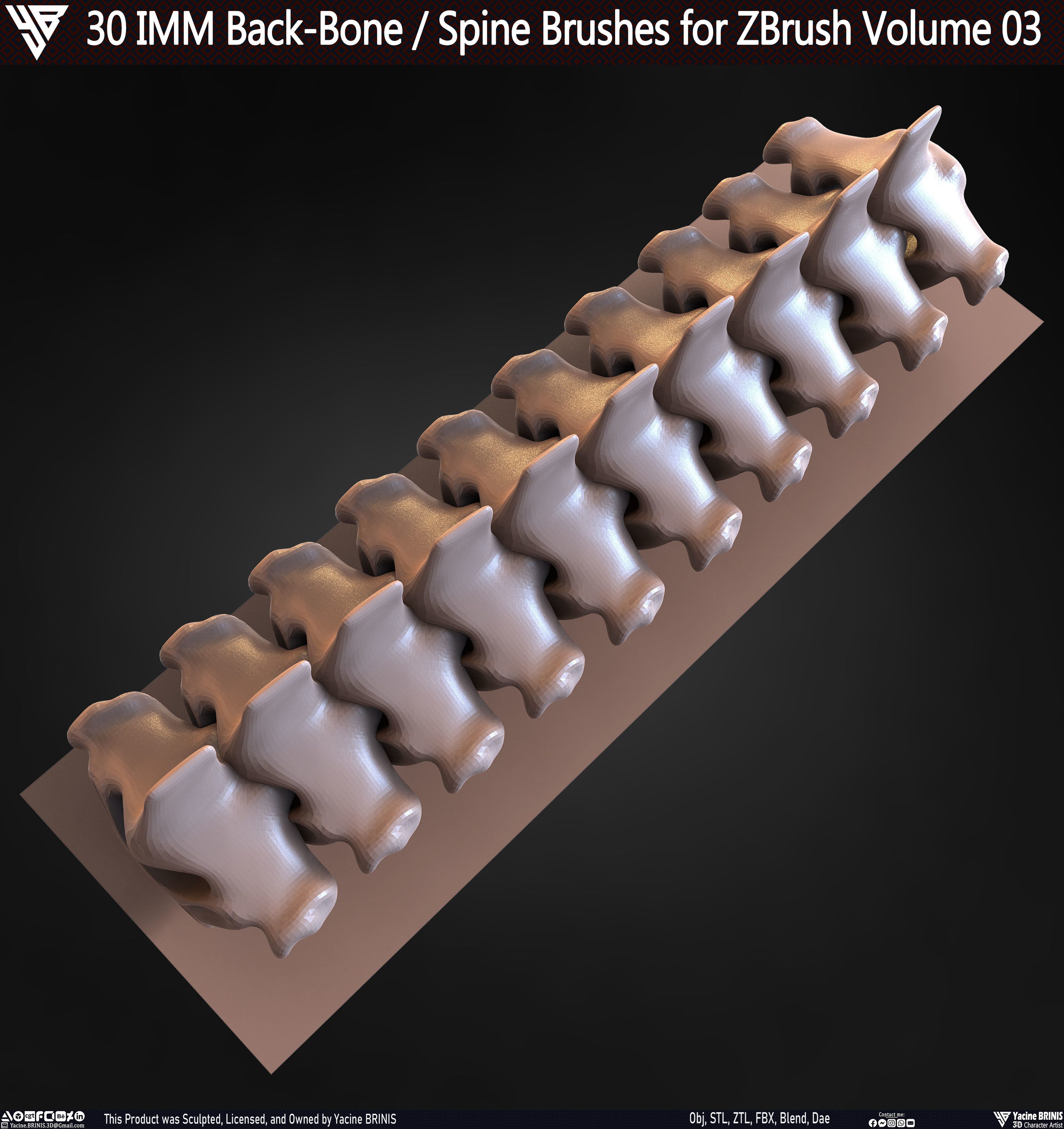30 IMM Back-Bone - Spine ZBrush Brush Volume 03 Low-poly 3D model_64