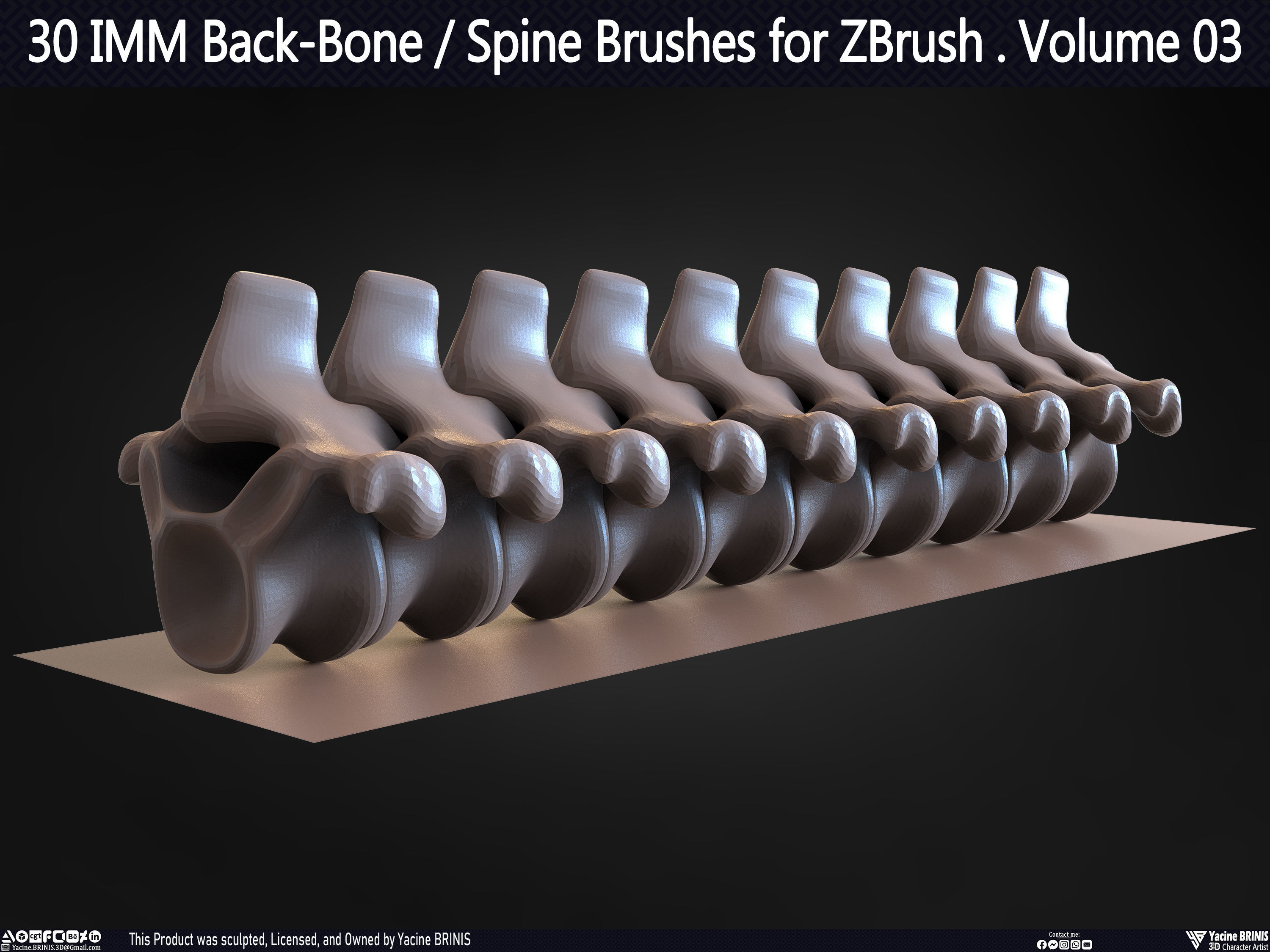 30 IMM Back-Bone - Spine ZBrush Brush Volume 03 Low-poly 3D model_38