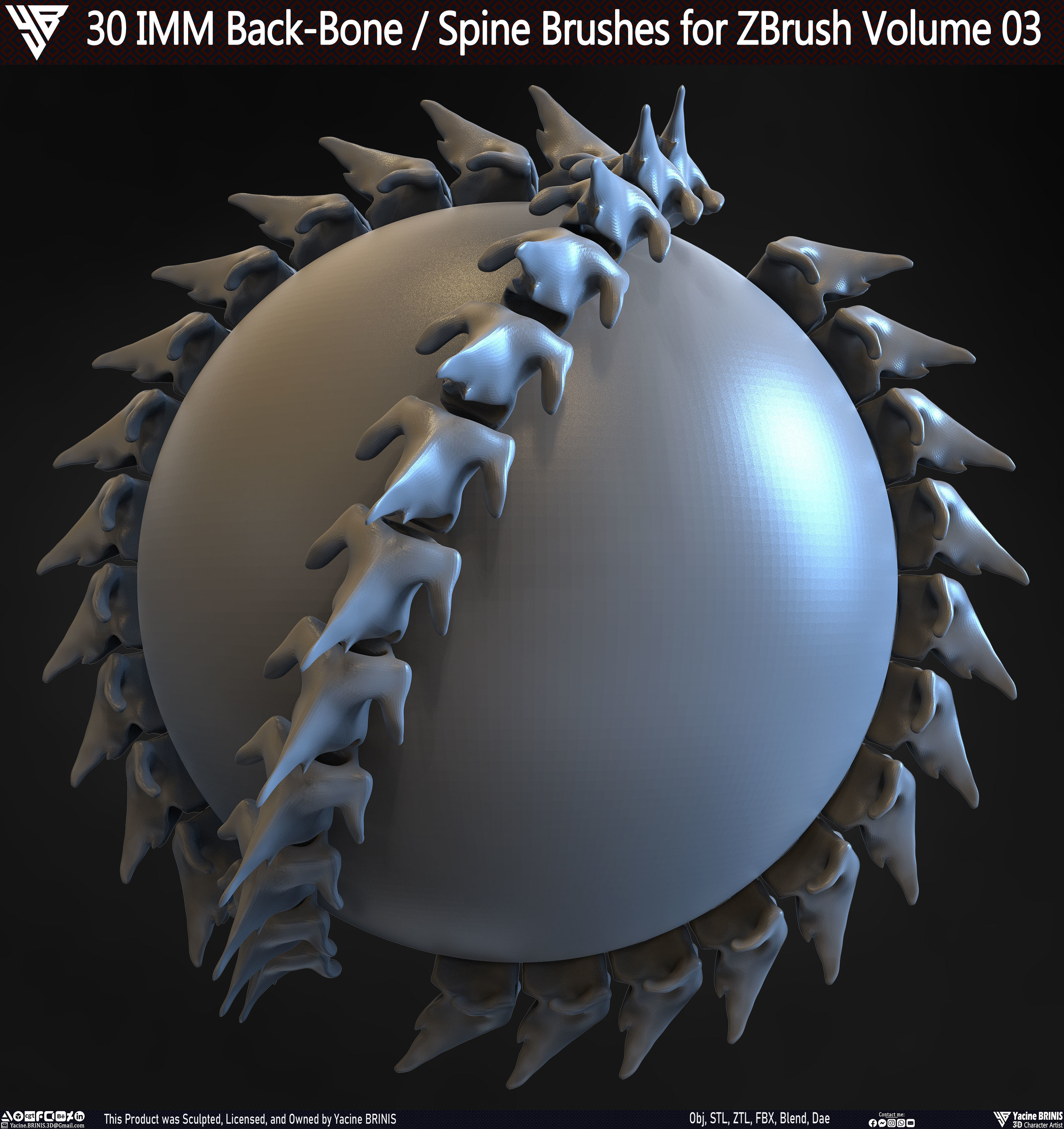 30 IMM Back-Bone - Spine ZBrush Brush Volume 03 Low-poly 3D model_21