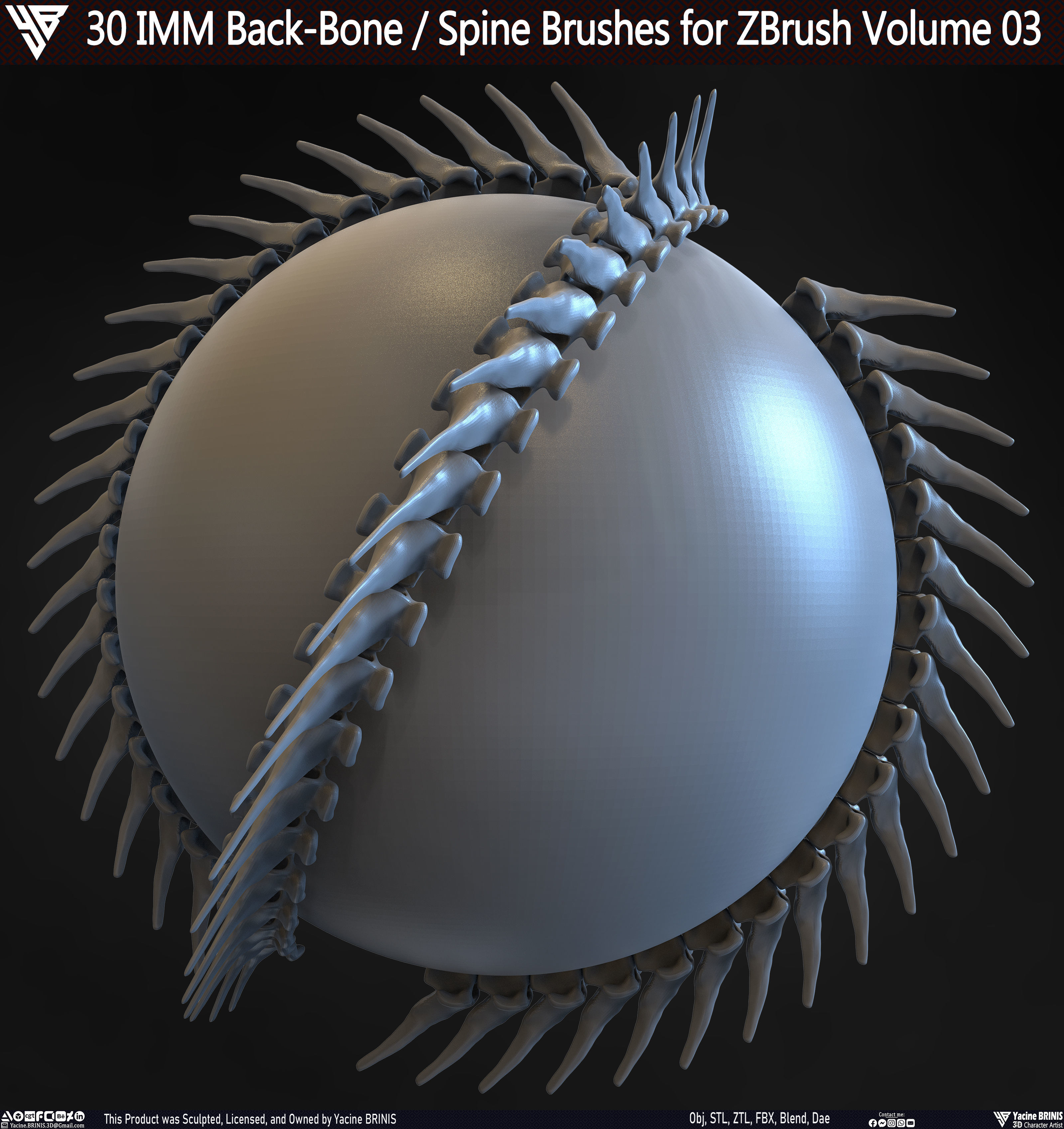 30 IMM Back-Bone - Spine ZBrush Brush Volume 03 Low-poly 3D model_22