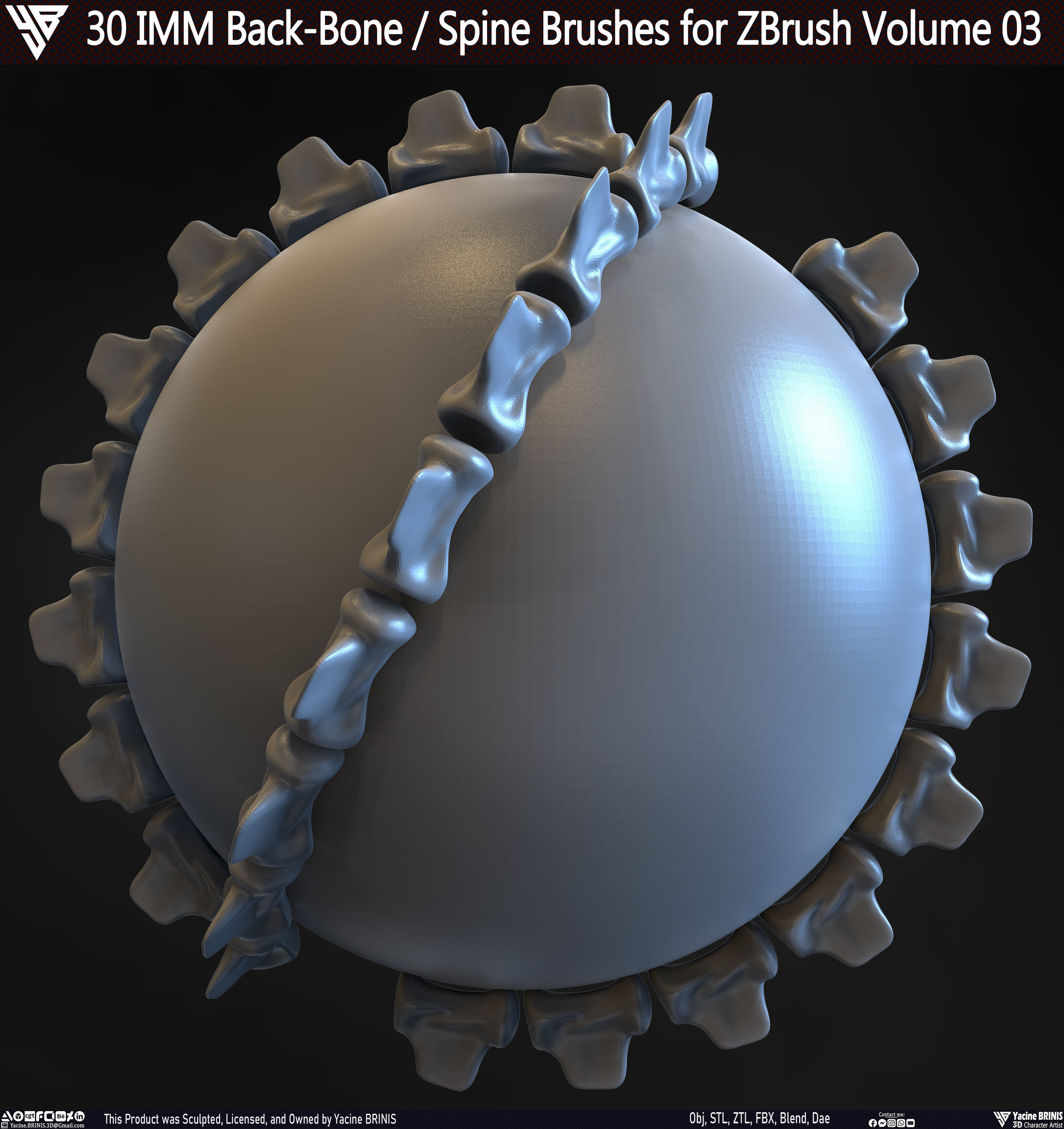 30 IMM Back-Bone - Spine ZBrush Brush Volume 03 Low-poly 3D model_13