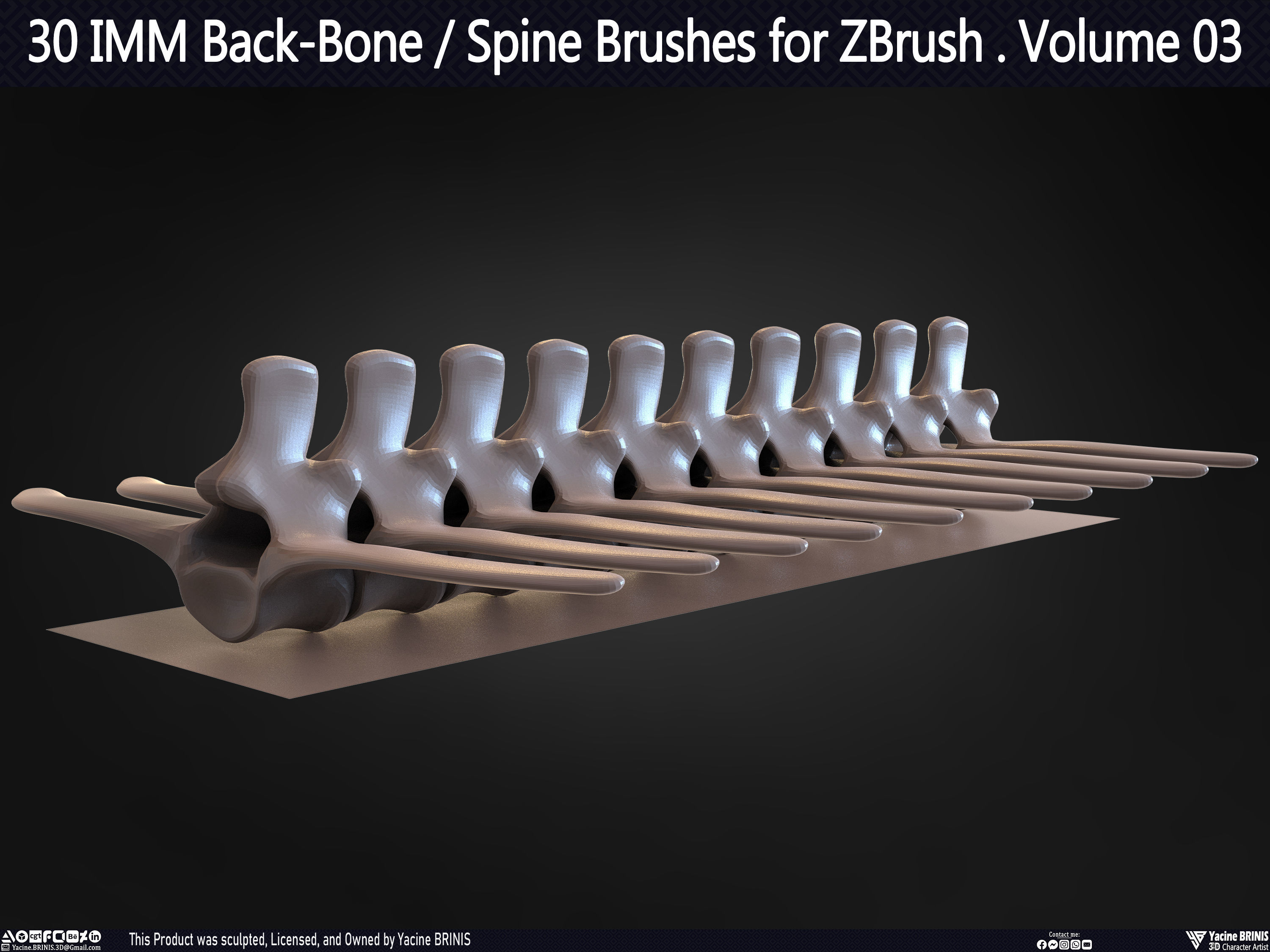 30 IMM Back-Bone - Spine ZBrush Brush Volume 03 Low-poly 3D model_39