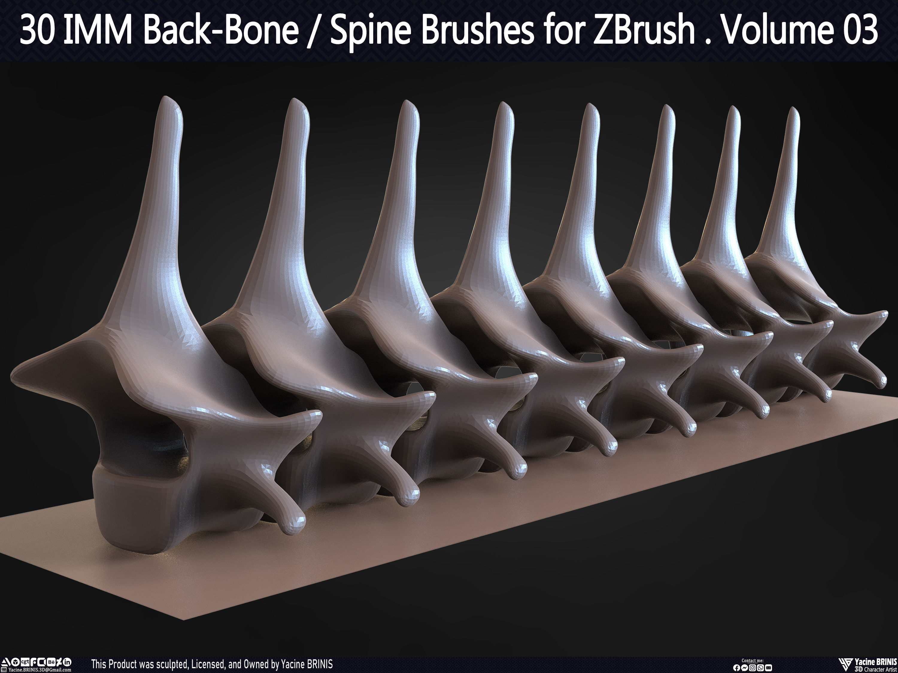 30 IMM Back-Bone - Spine ZBrush Brush Volume 03 Low-poly 3D model_54